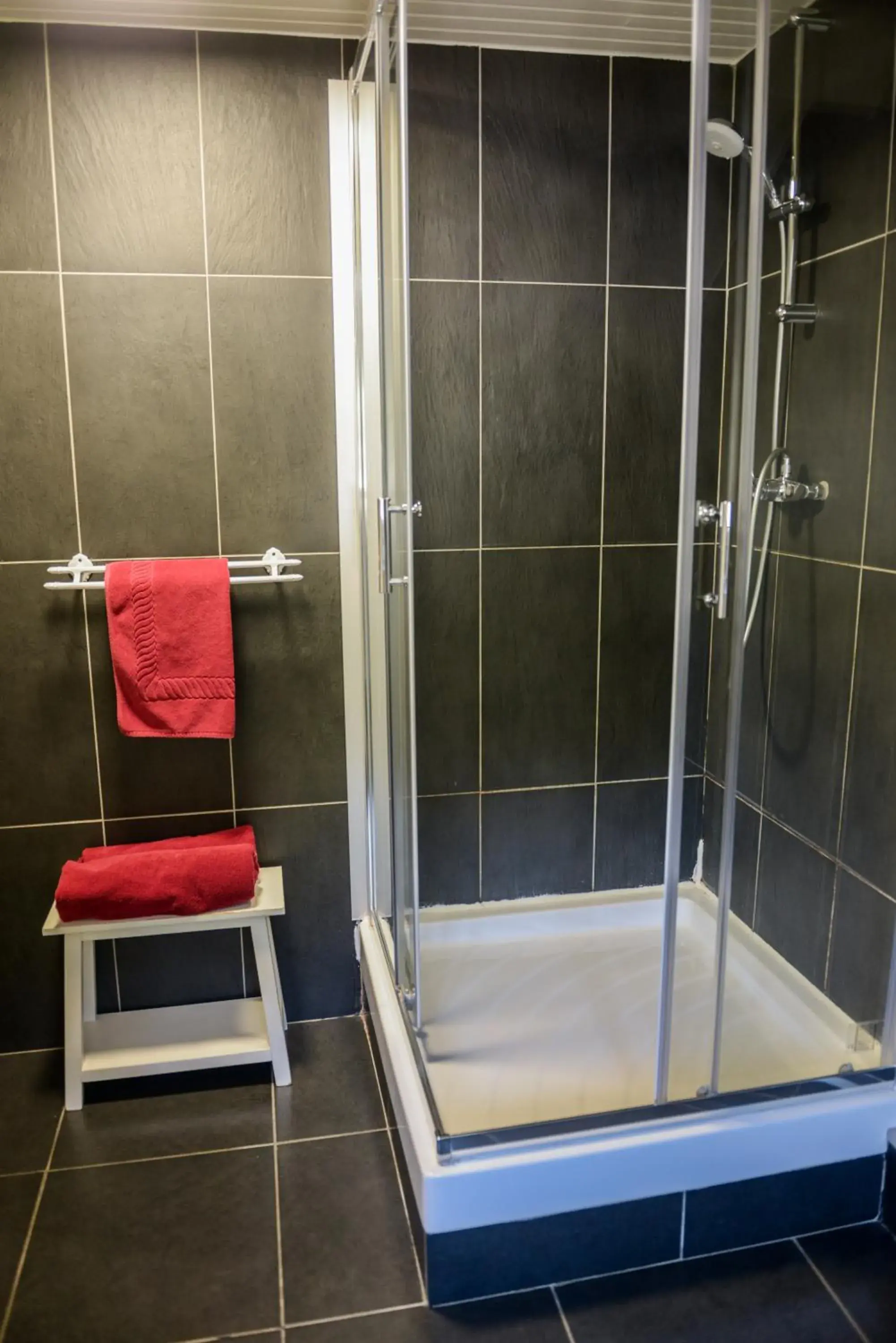 Bathroom in Hotel Saint Hubert