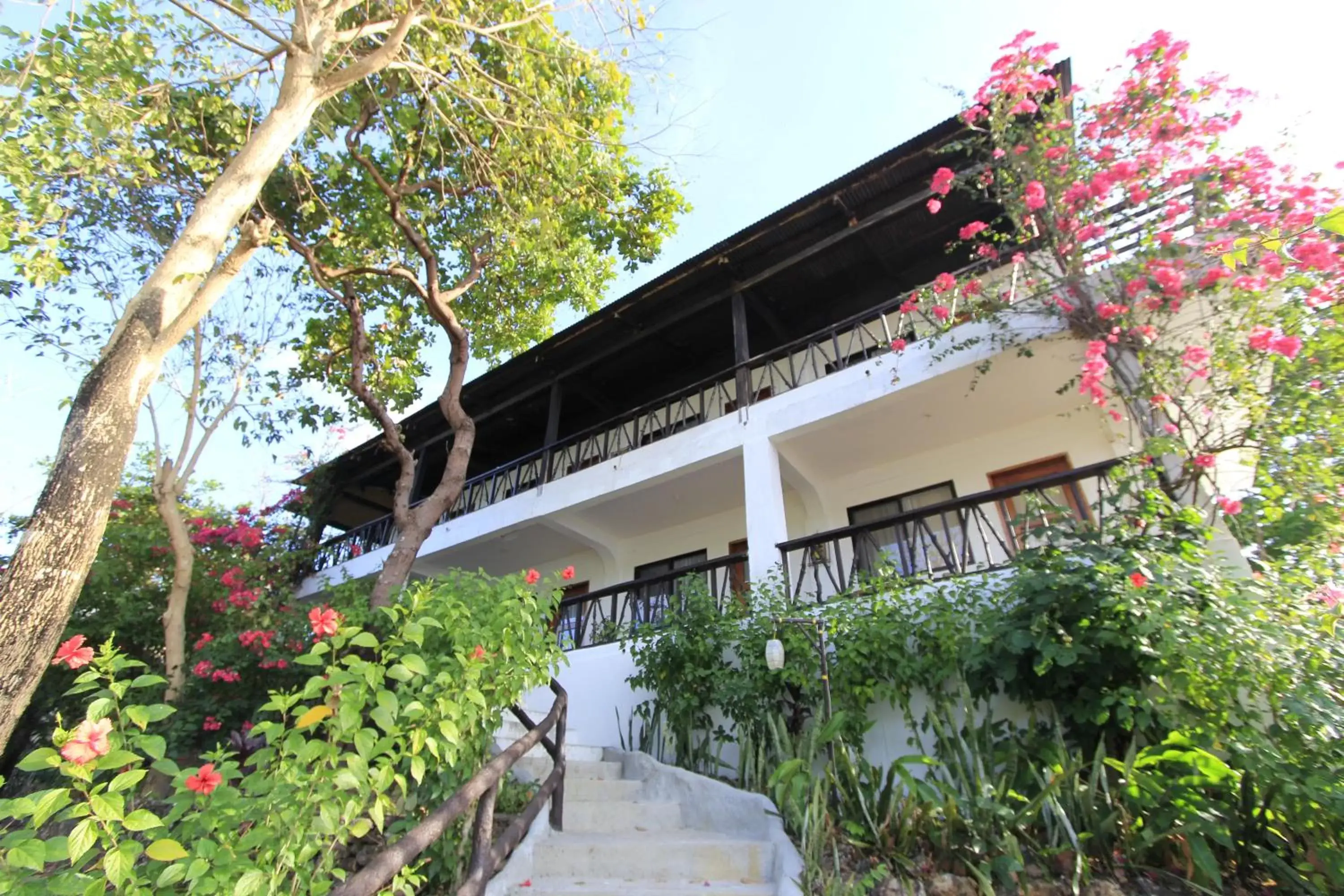 Property Building in Discovery Island Resort