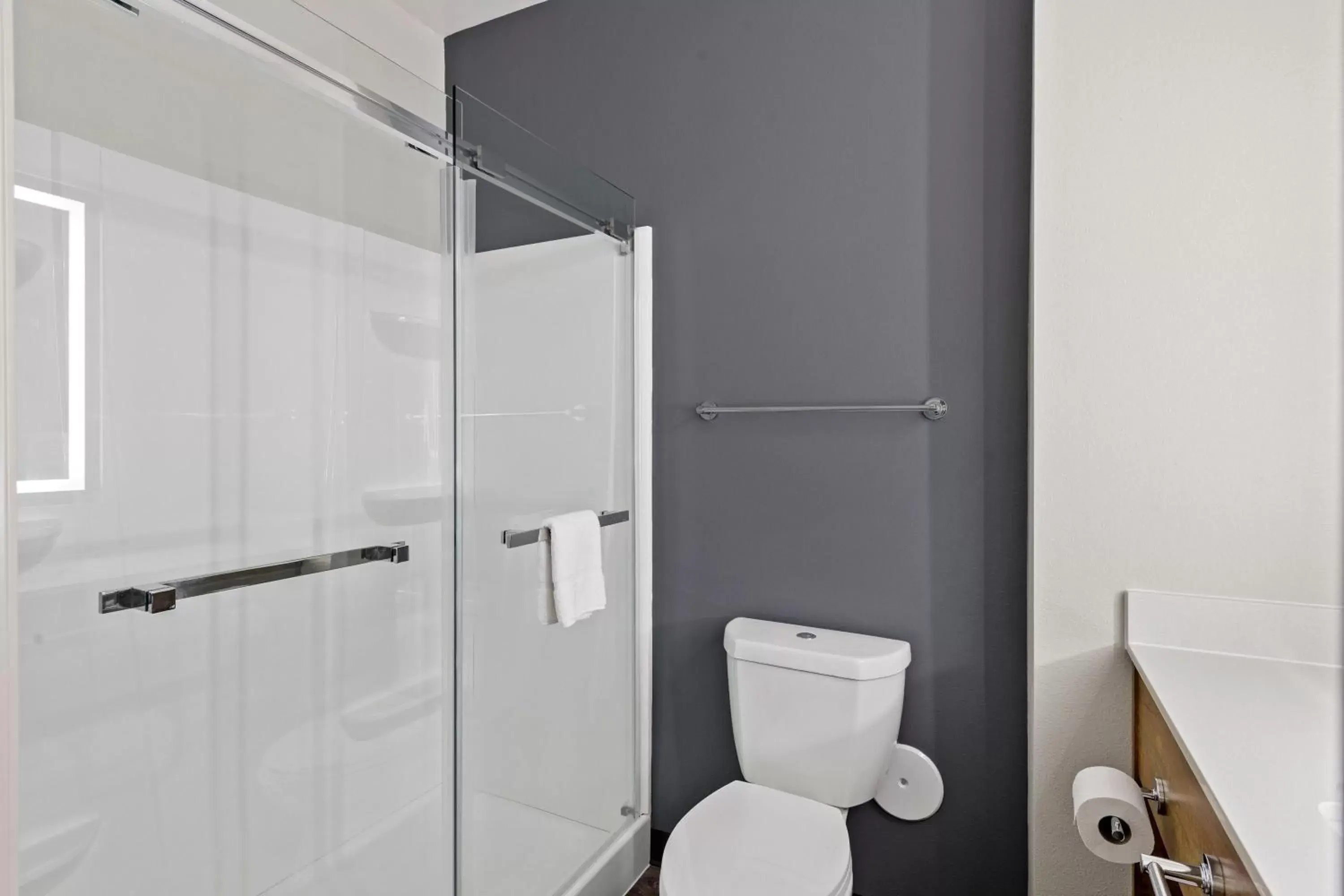 Shower, Bathroom in Extended Stay America Premier Suites - Savannah - Pooler