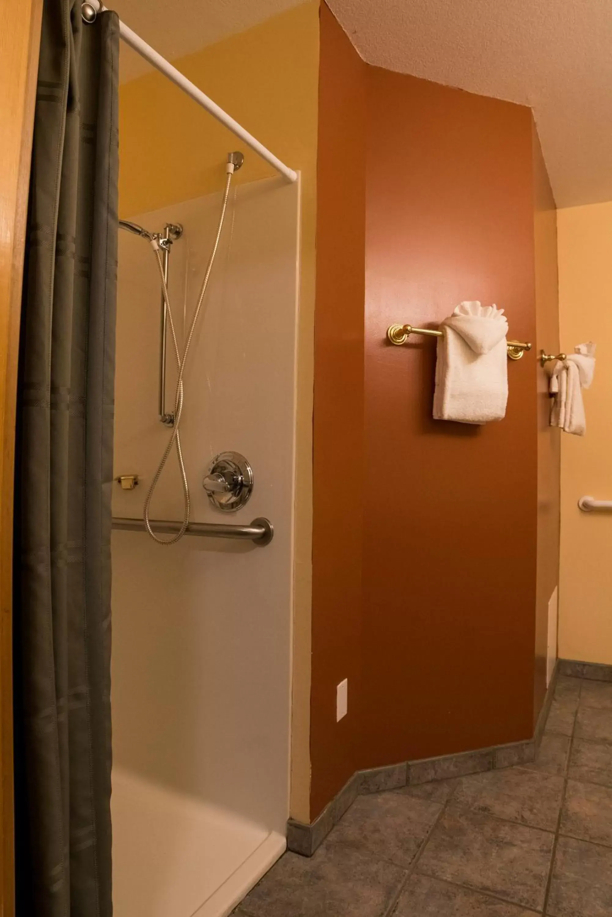 Shower, Bathroom in Appenzell Inn