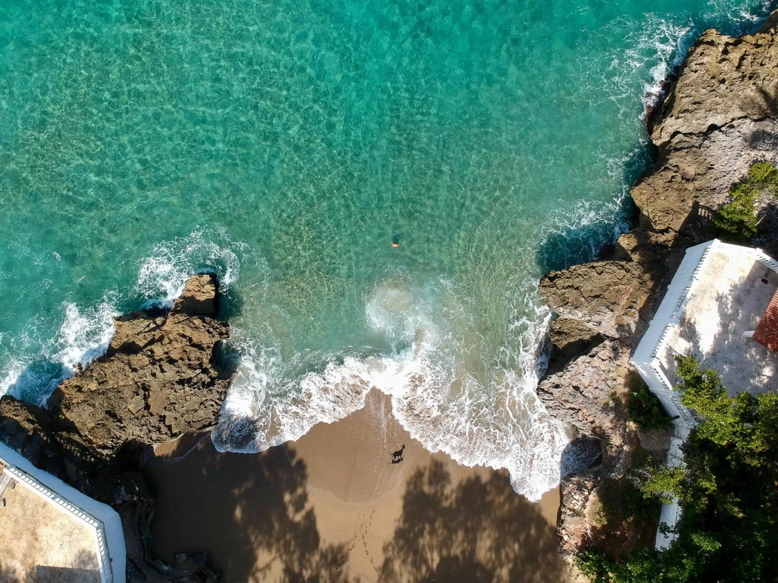 View (from property/room) in Coral Blanco Hotel