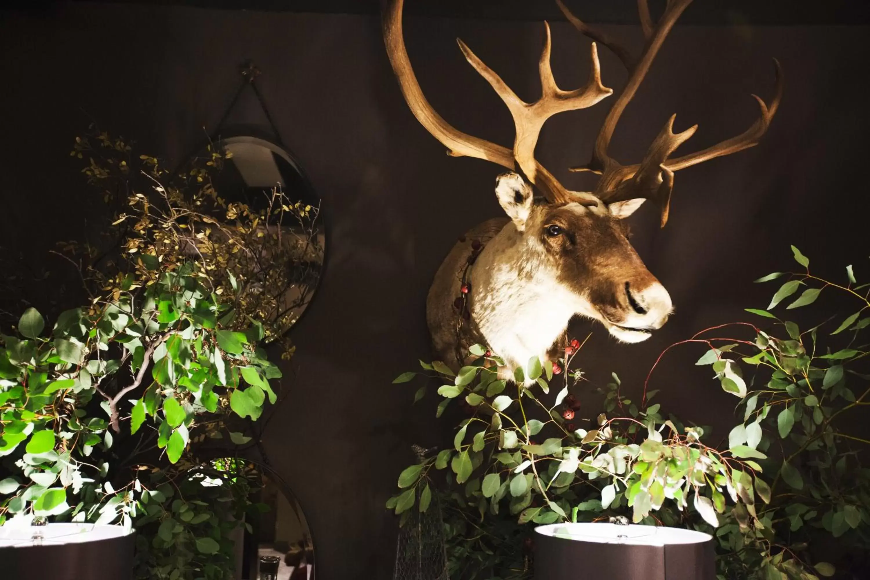 Lobby or reception, Other Animals in Hotel Fray Marcos