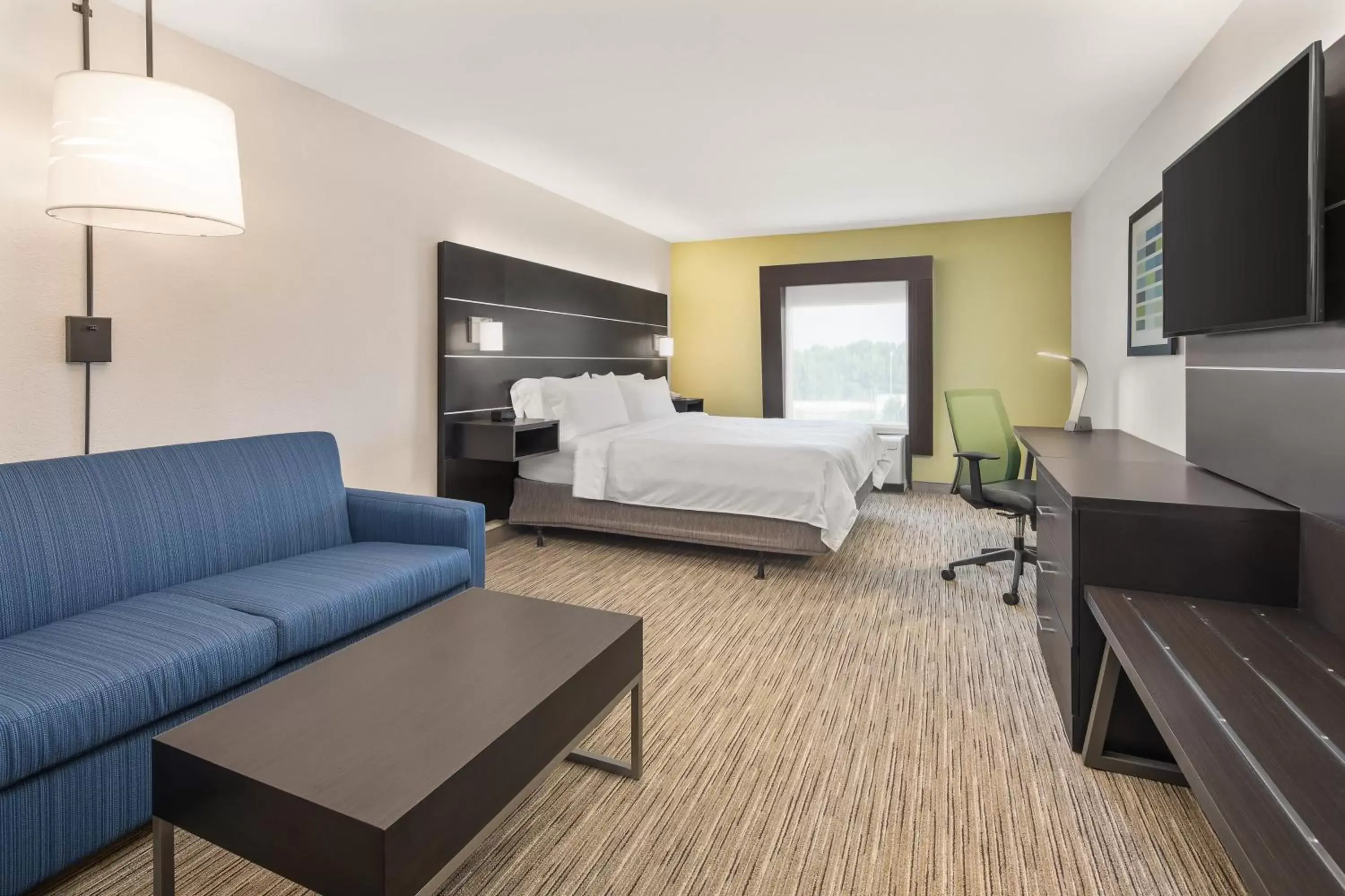 Photo of the whole room in Holiday Inn Express Hotels & Suites Greenville-Spartanburg/Duncan, an IHG Hotel