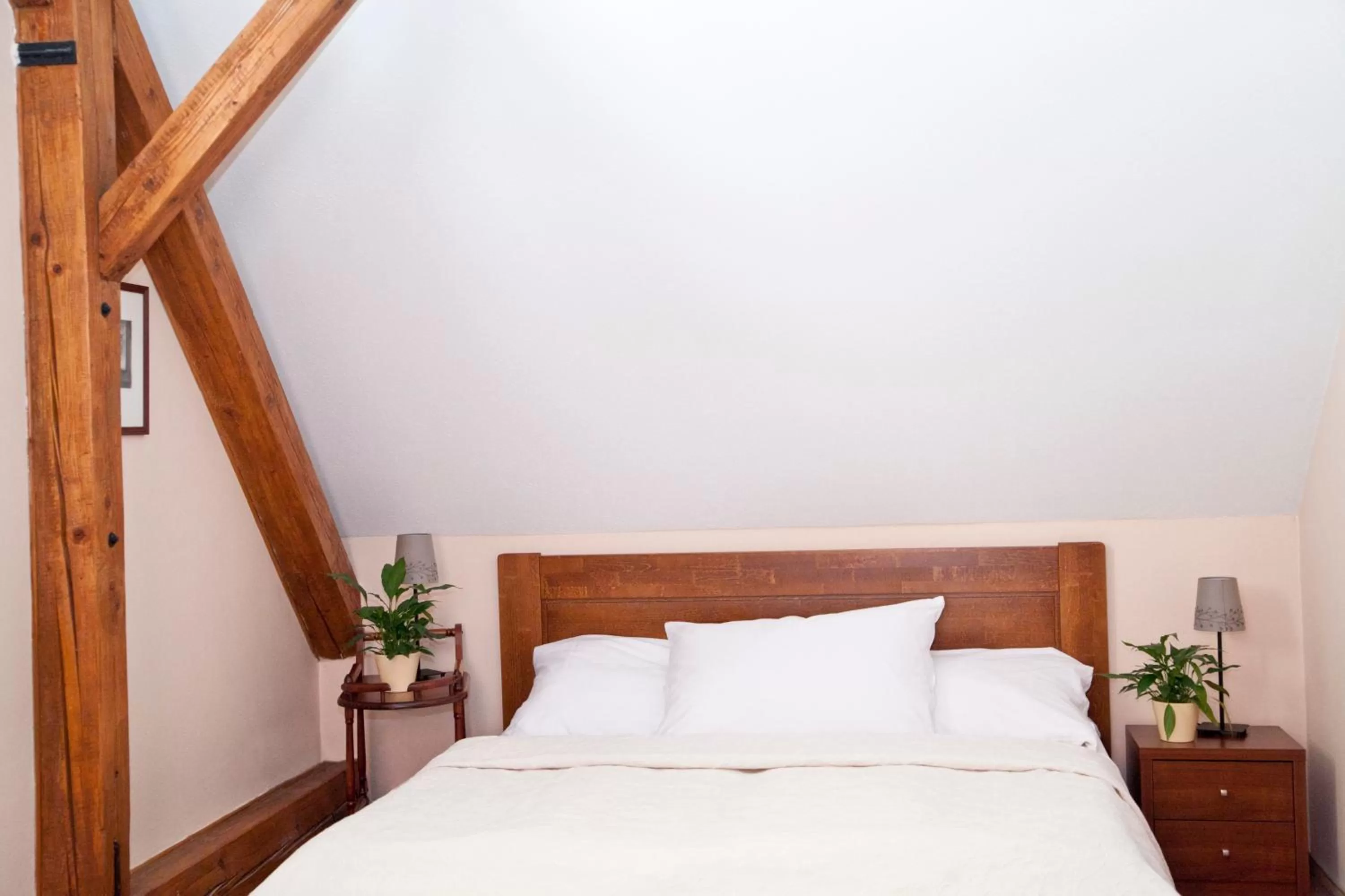 Bed in Hotel U Zlatého Lva