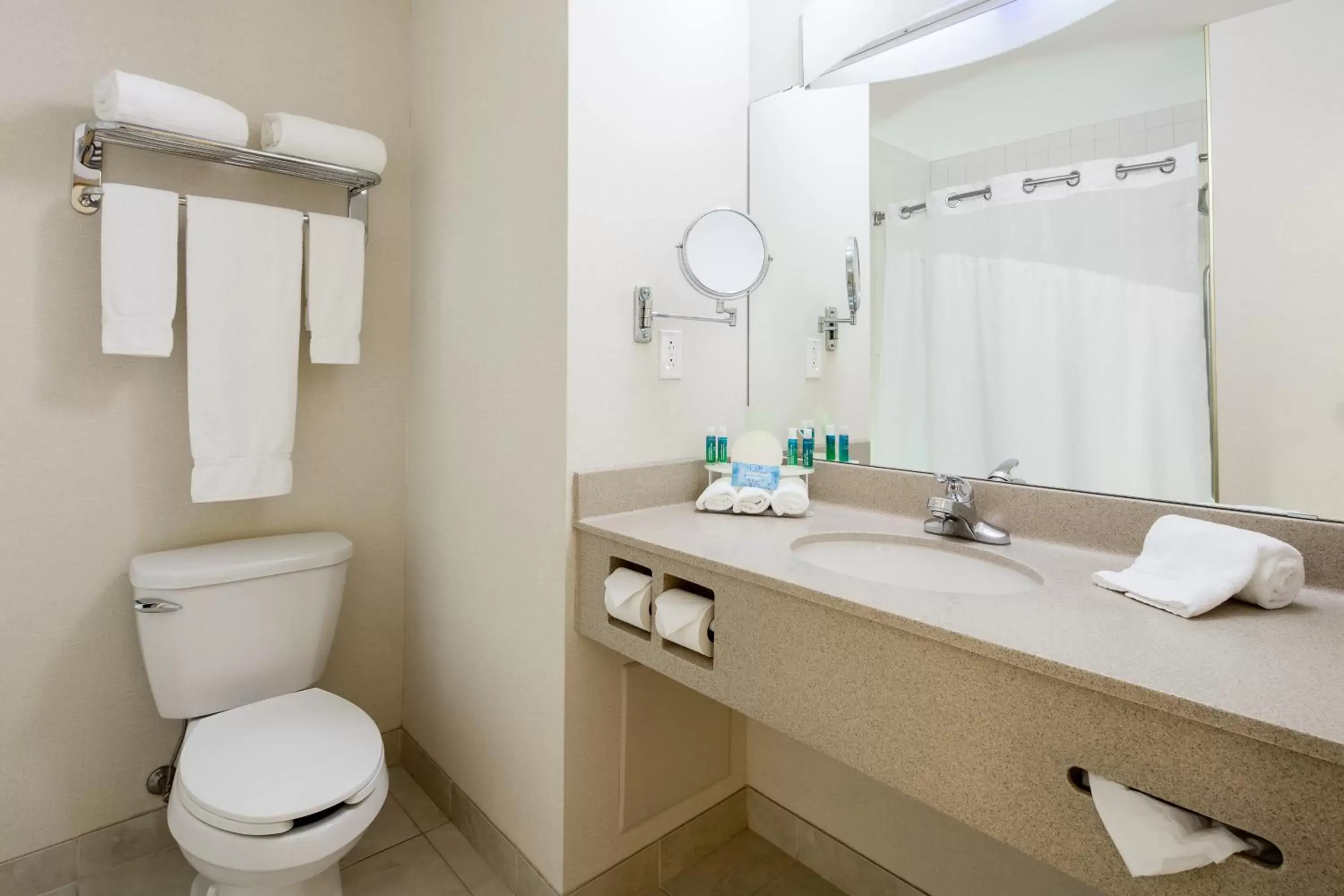 Bathroom in Holiday Inn Express Hotel & Suites Dieppe Airport, an IHG Hotel