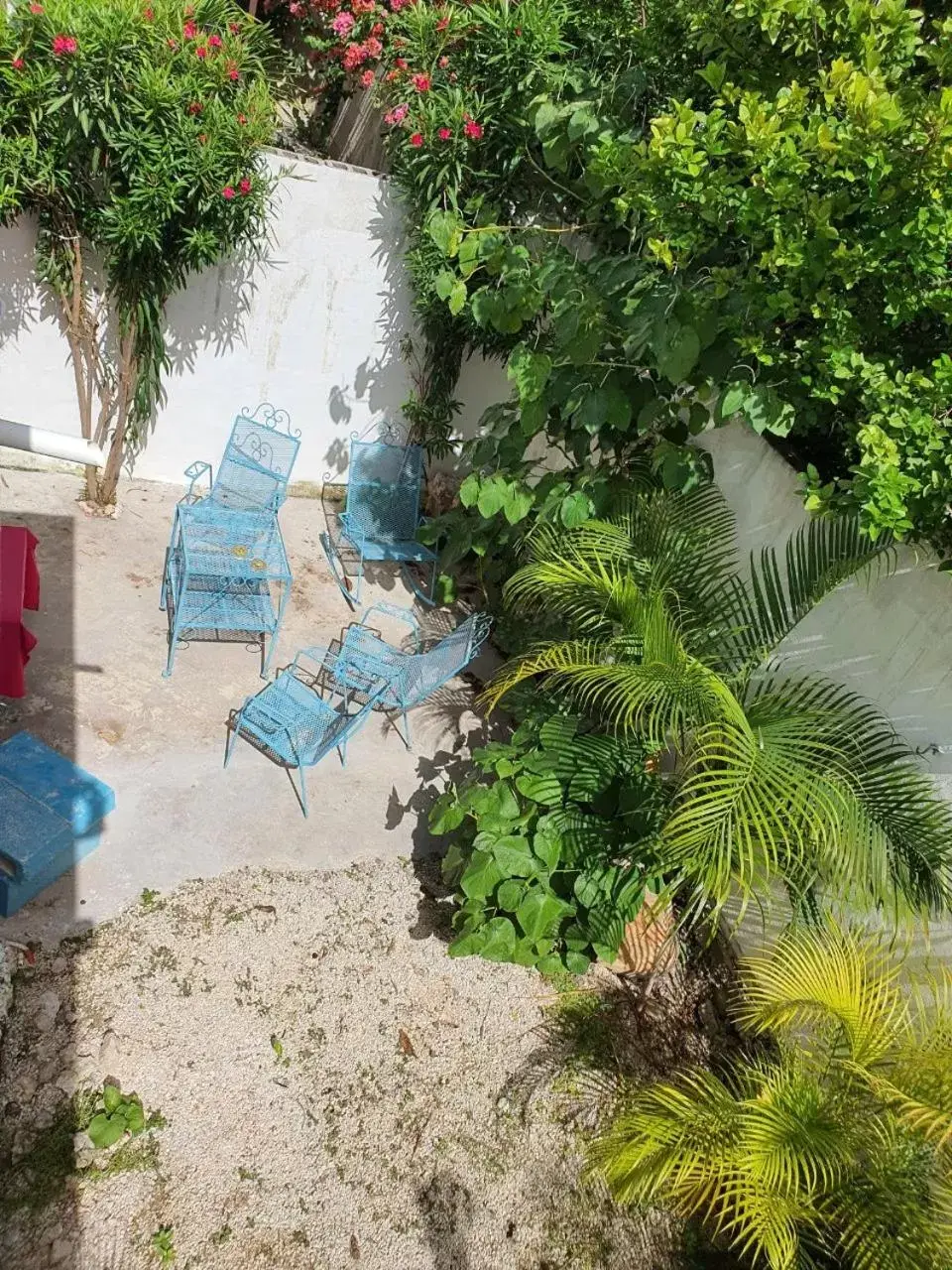 Patio in HOSPEDAJE HOLY