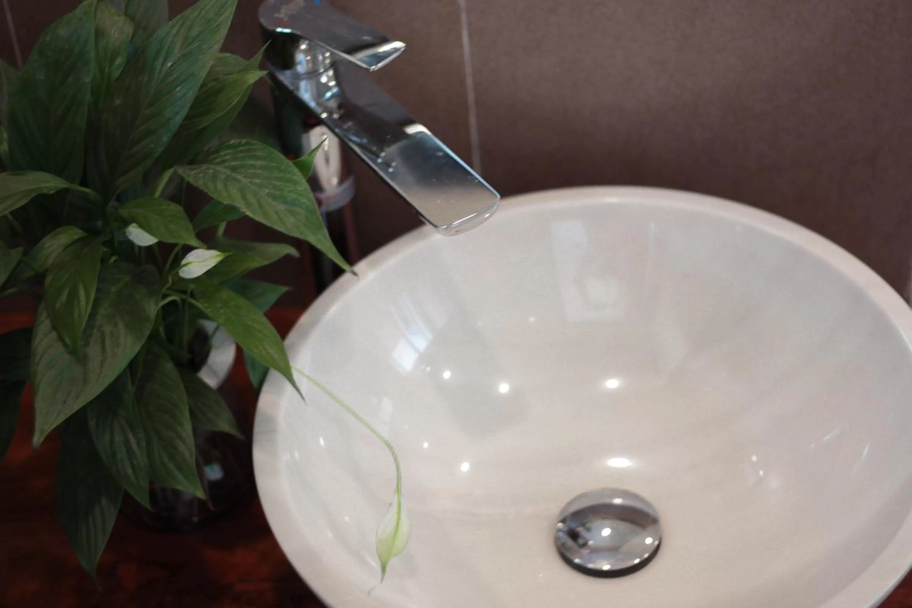 Bathroom in ᴛᴀᴍ ᴄᴏᴄ ᴄᴏᴄᴏᴏɴ ʜᴏᴍᴇsᴛᴀʏ