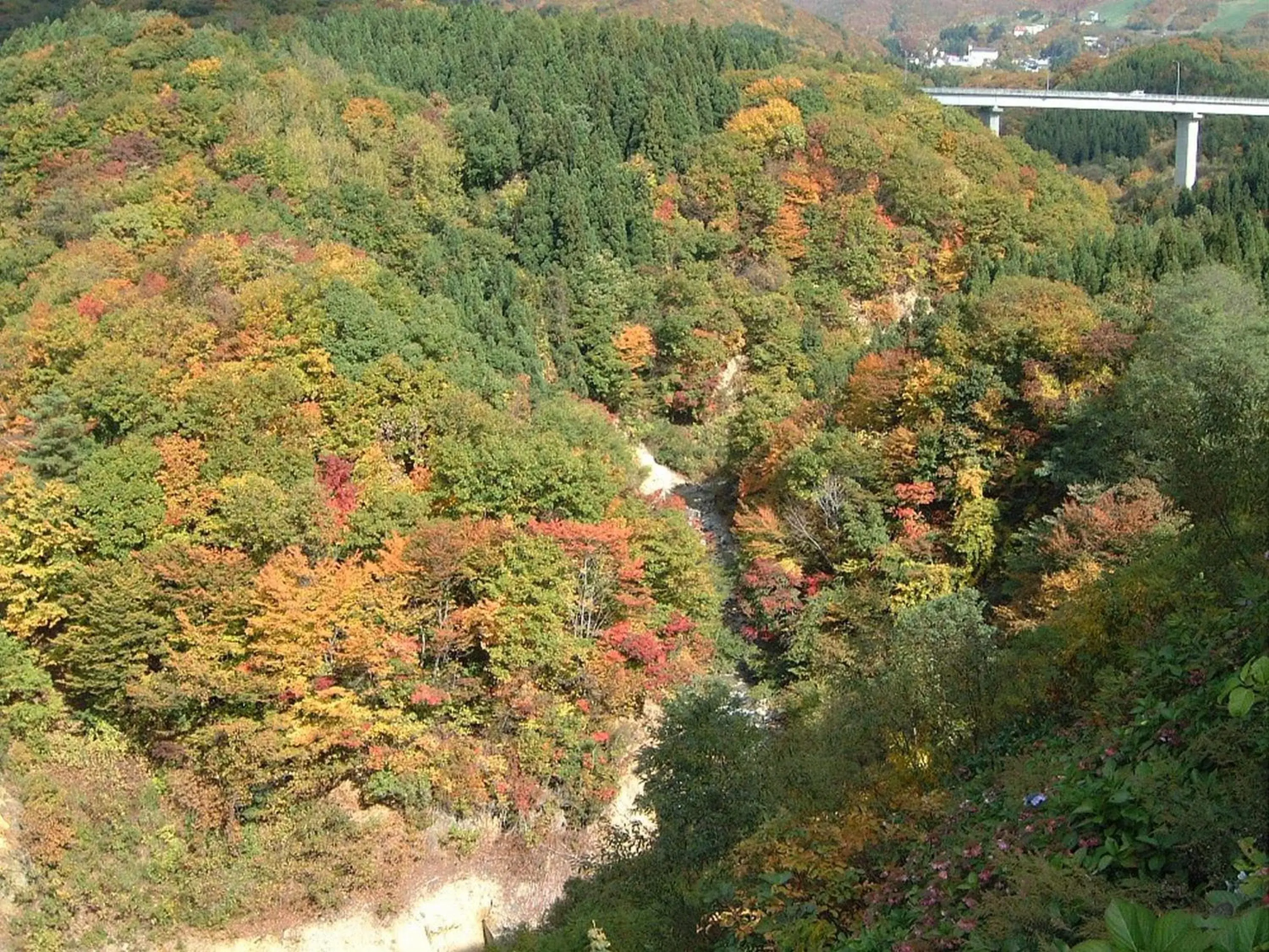 Autumn, Natural Landscape in Zao Kokusai Hotel