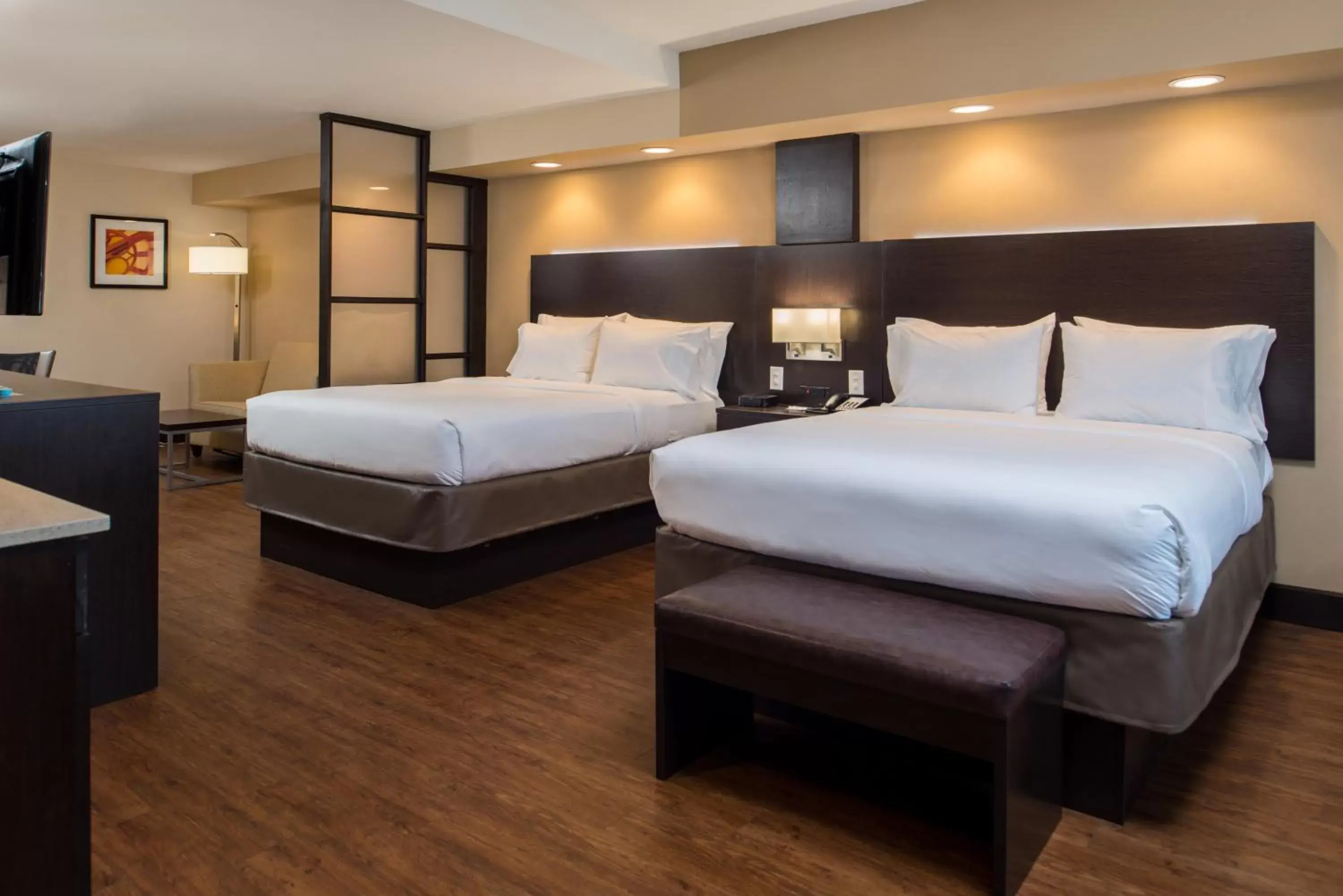 Photo of the whole room, Bed in Holiday Inn Express & Suites San Antonio Medical Center North, an IHG Hotel