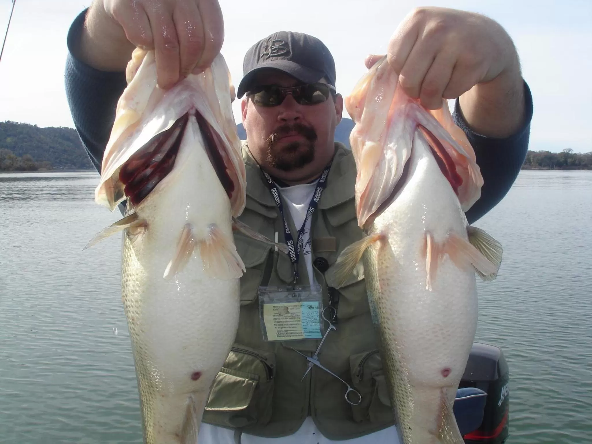 Activities in Lakeview Inn