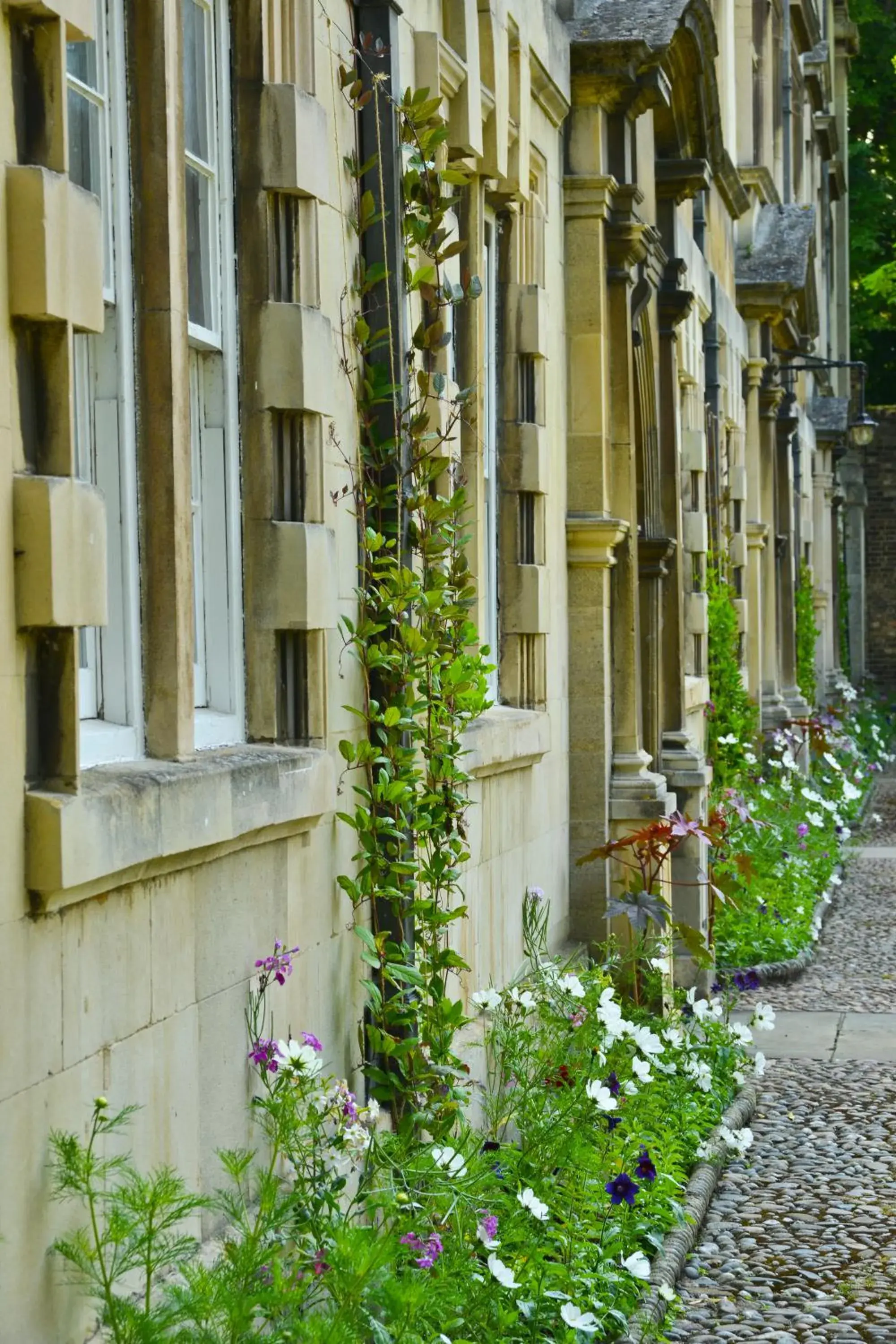 Garden in Christs College Cambridge