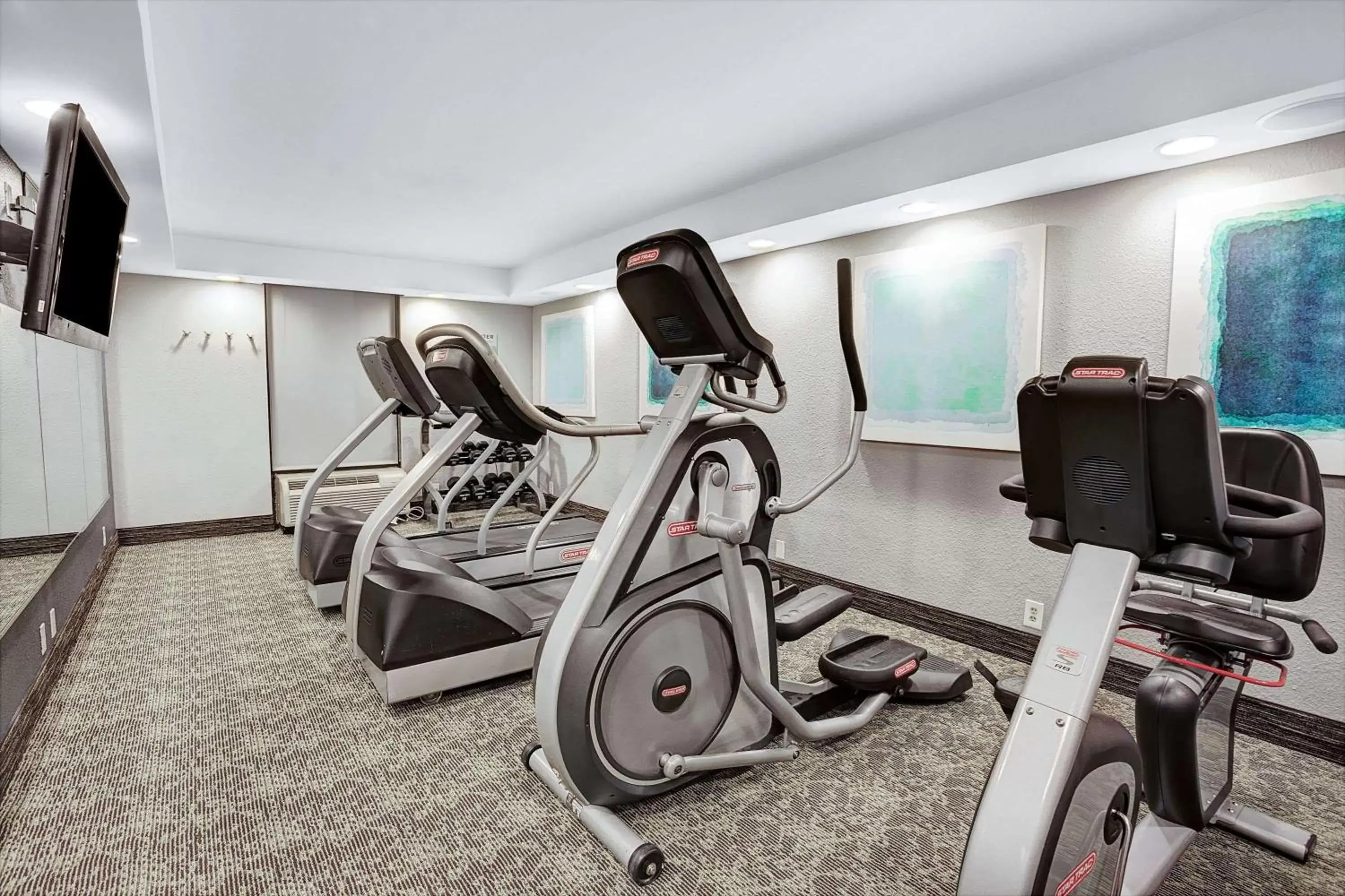 Fitness centre/facilities, Fitness Center/Facilities in Wingate by Wyndham Richardson