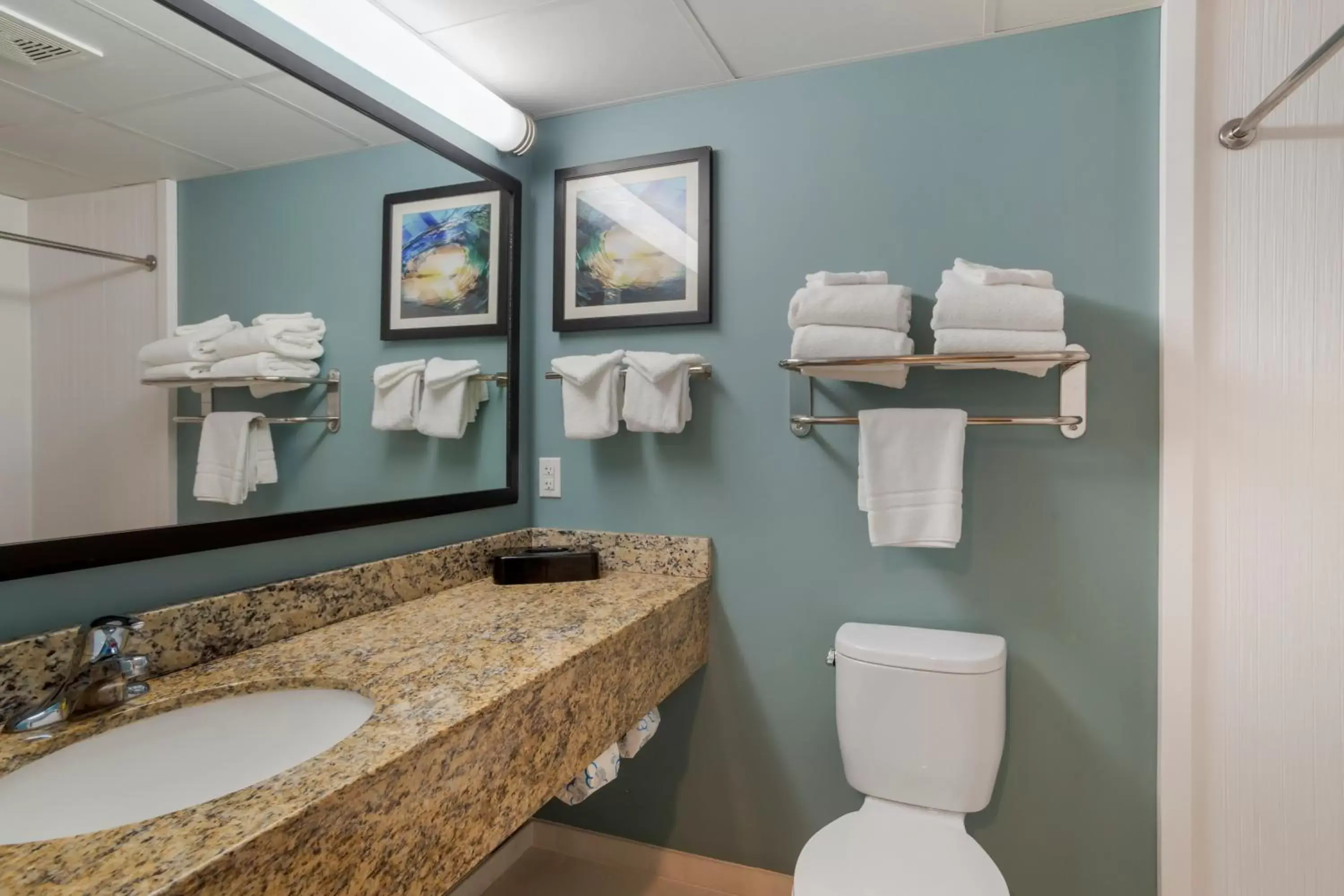 Toilet, Bathroom in Best Western Plus Ocean City