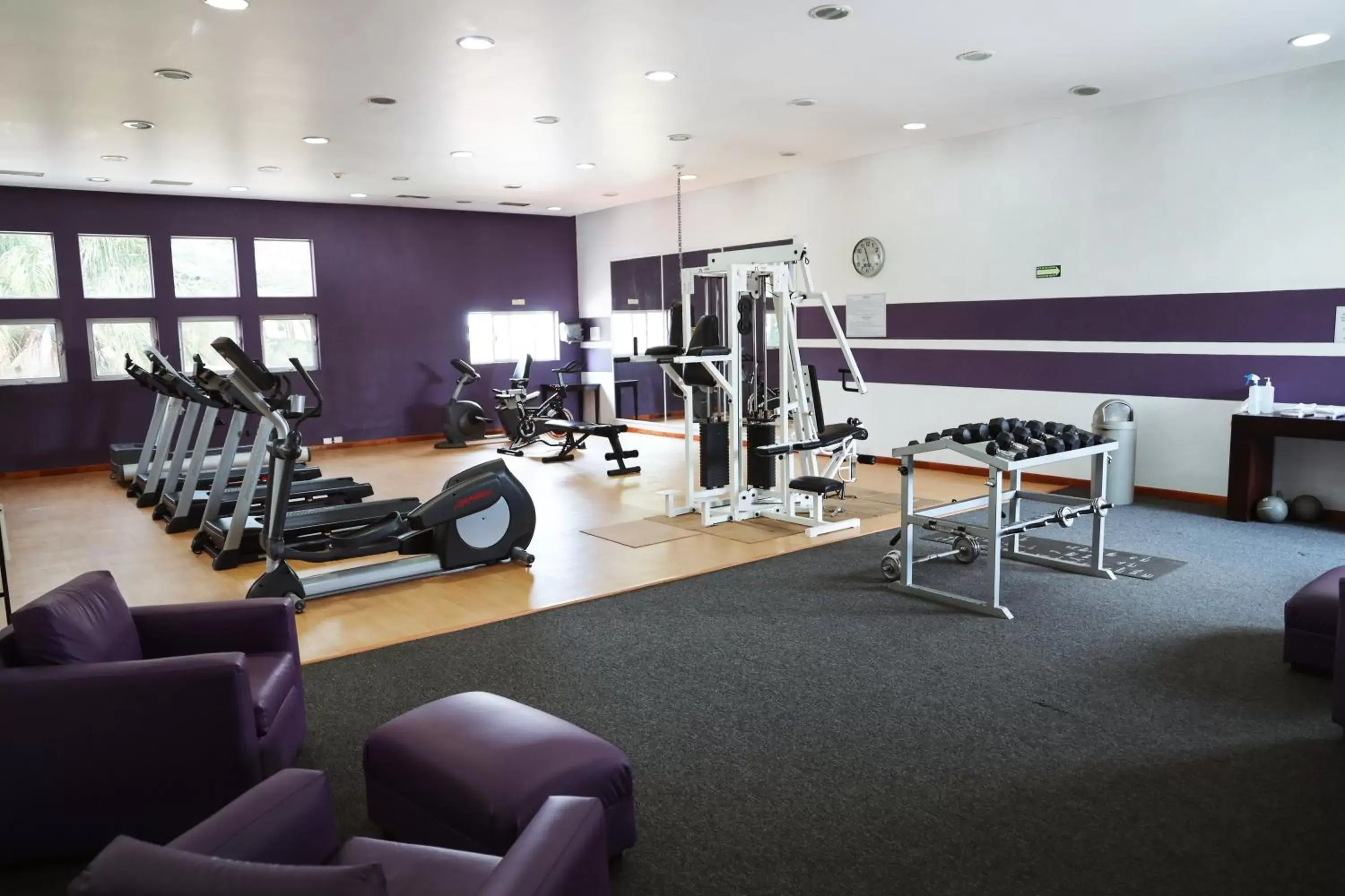 Fitness centre/facilities, Fitness Center/Facilities in Holiday Inn Durango, an IHG Hotel