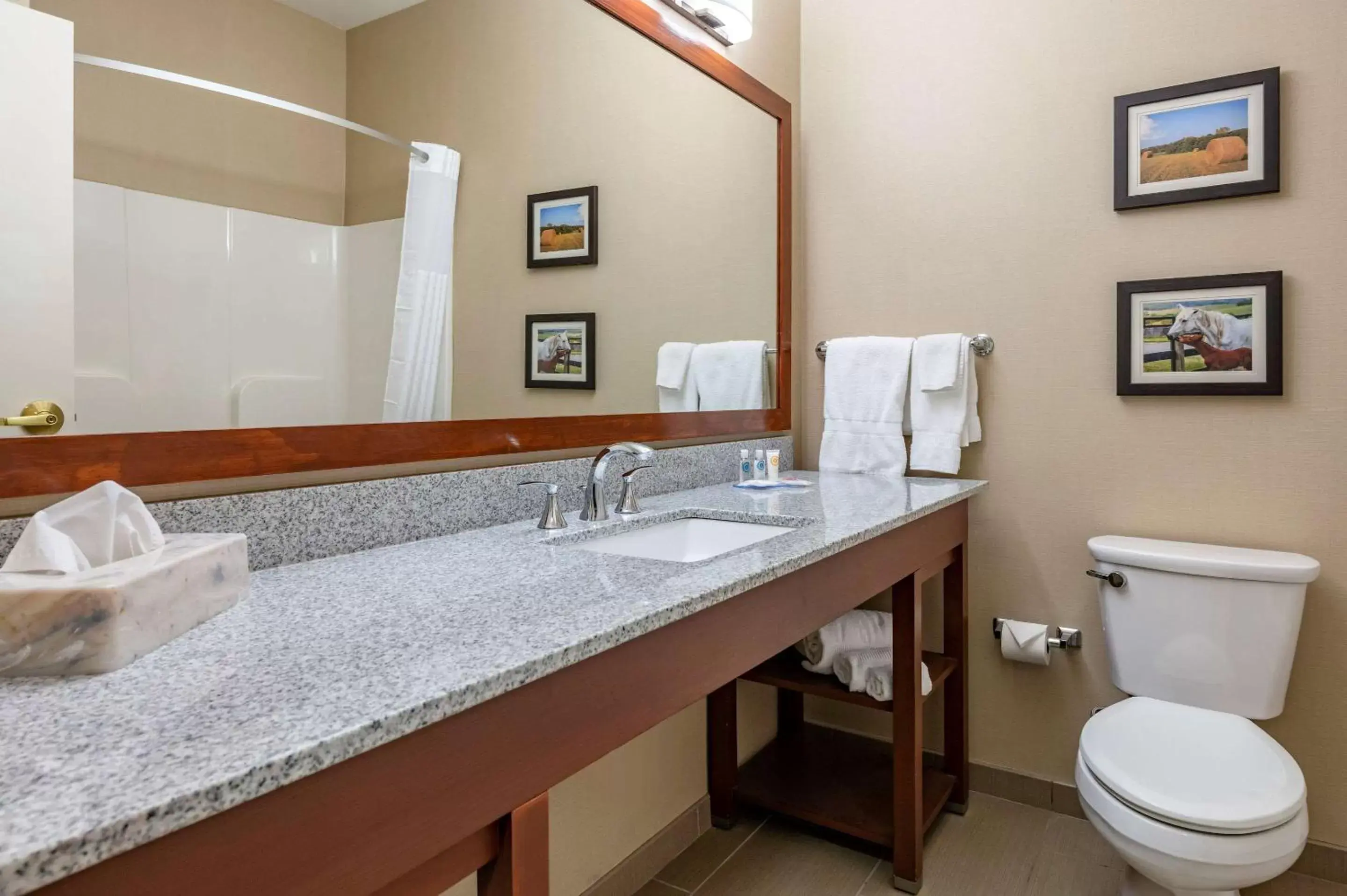 Bathroom in Comfort Inn & Suites Northern Kentucky