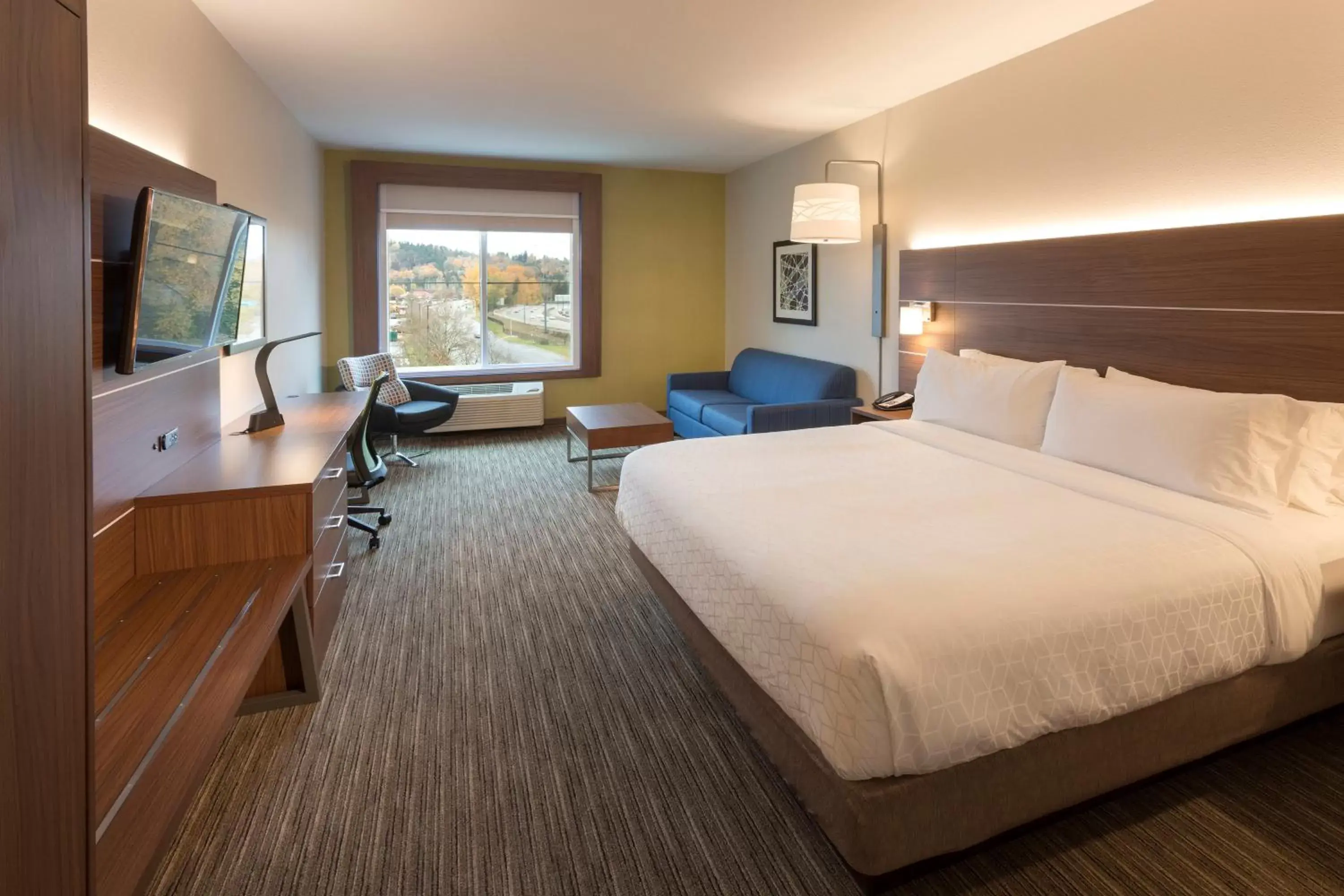 Photo of the whole room in Holiday Inn Express & Suites - Seattle South - Tukwila, an IHG Hotel