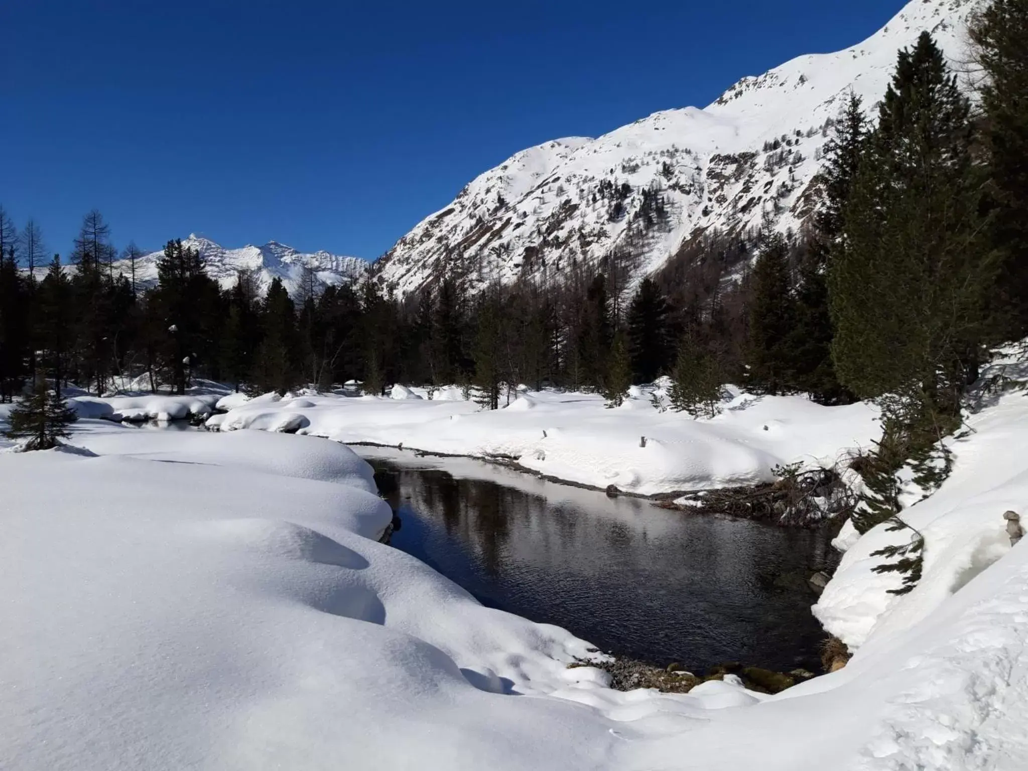 Winter in B&B Berninapass