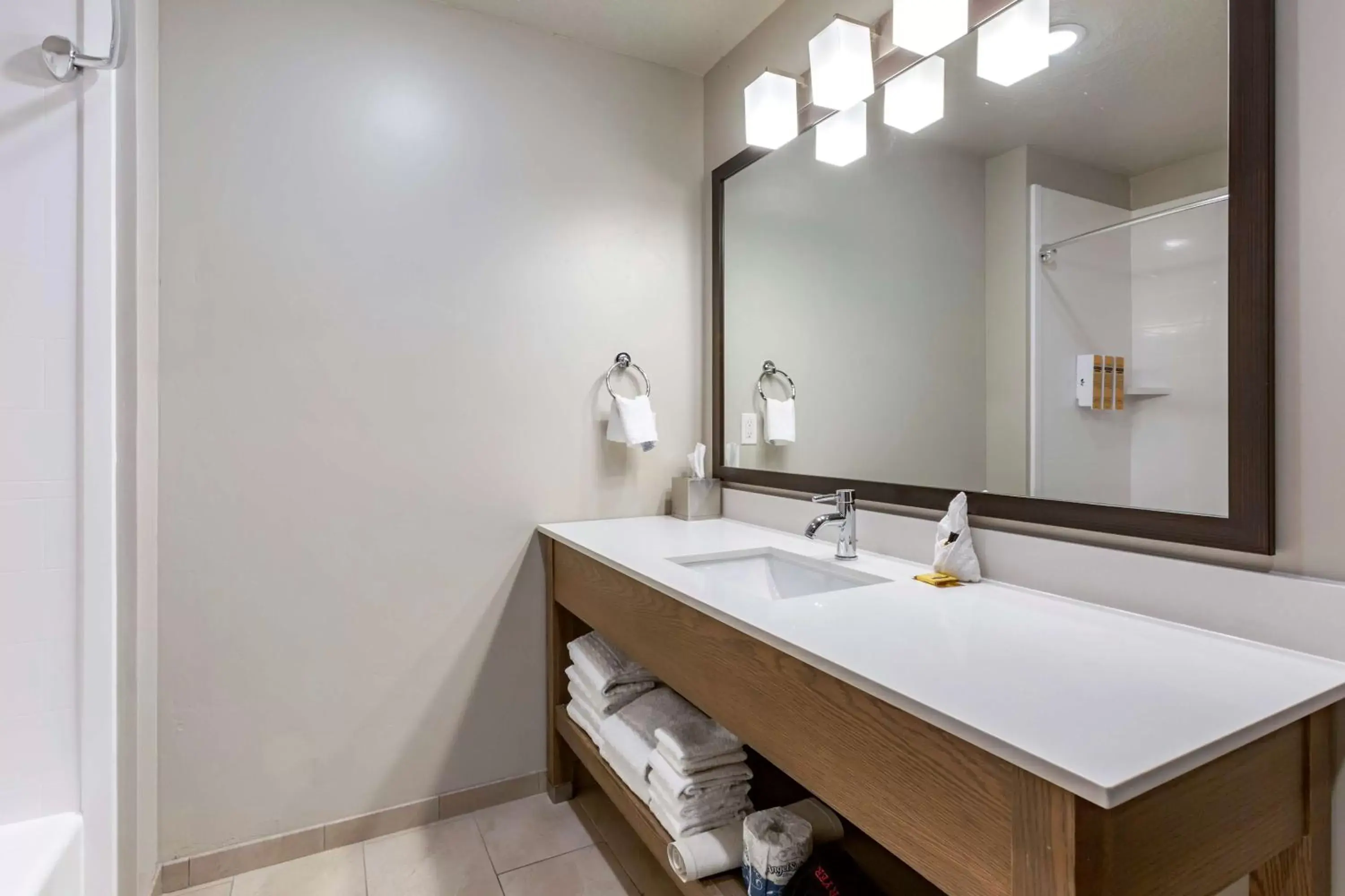 Bathroom in Best Western Plus Zion Canyon Inn & Suites