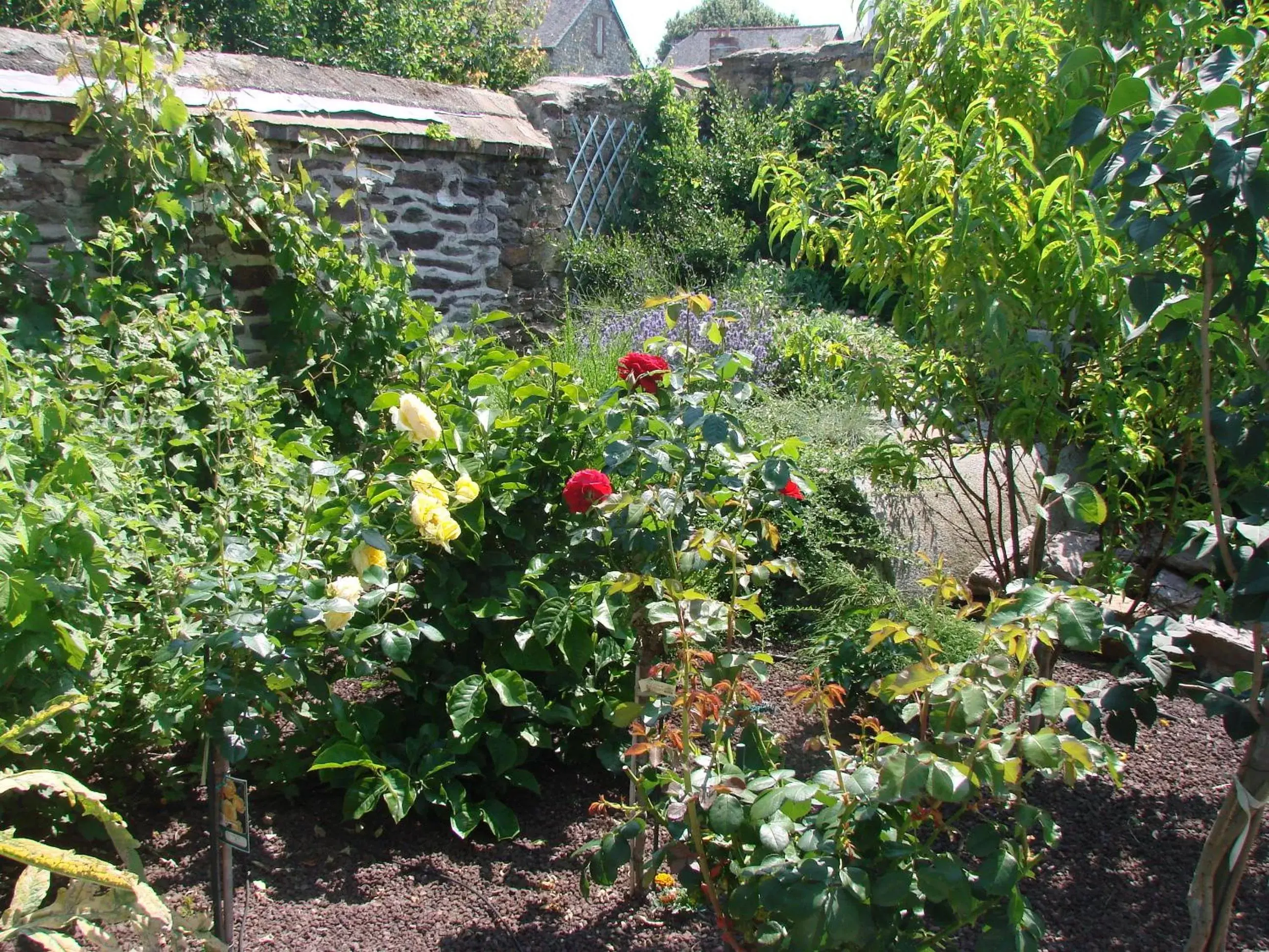 Garden in Chambres de Condate