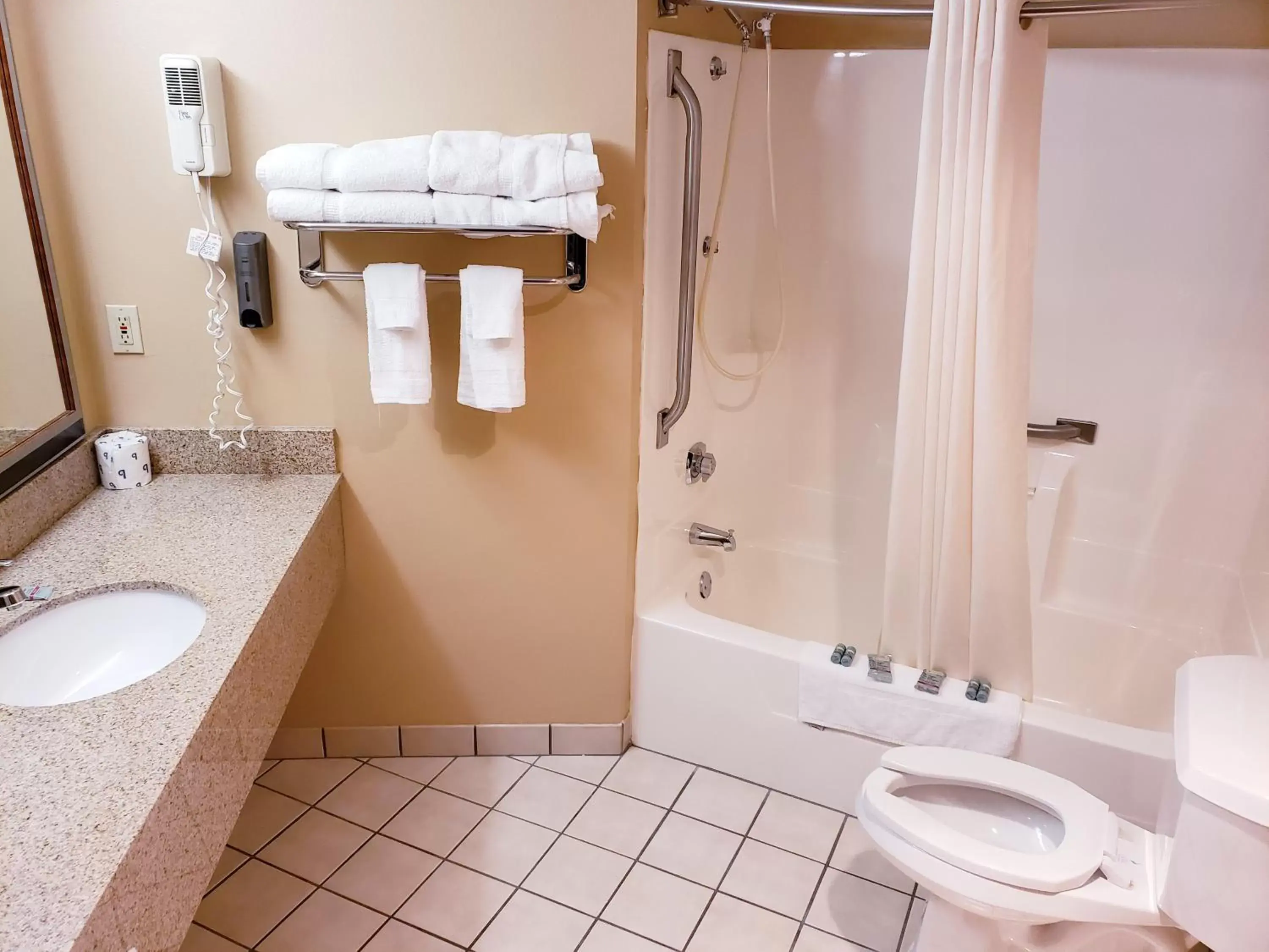 Bathroom in SureStay Plus Hotel by Best Western Black River Falls