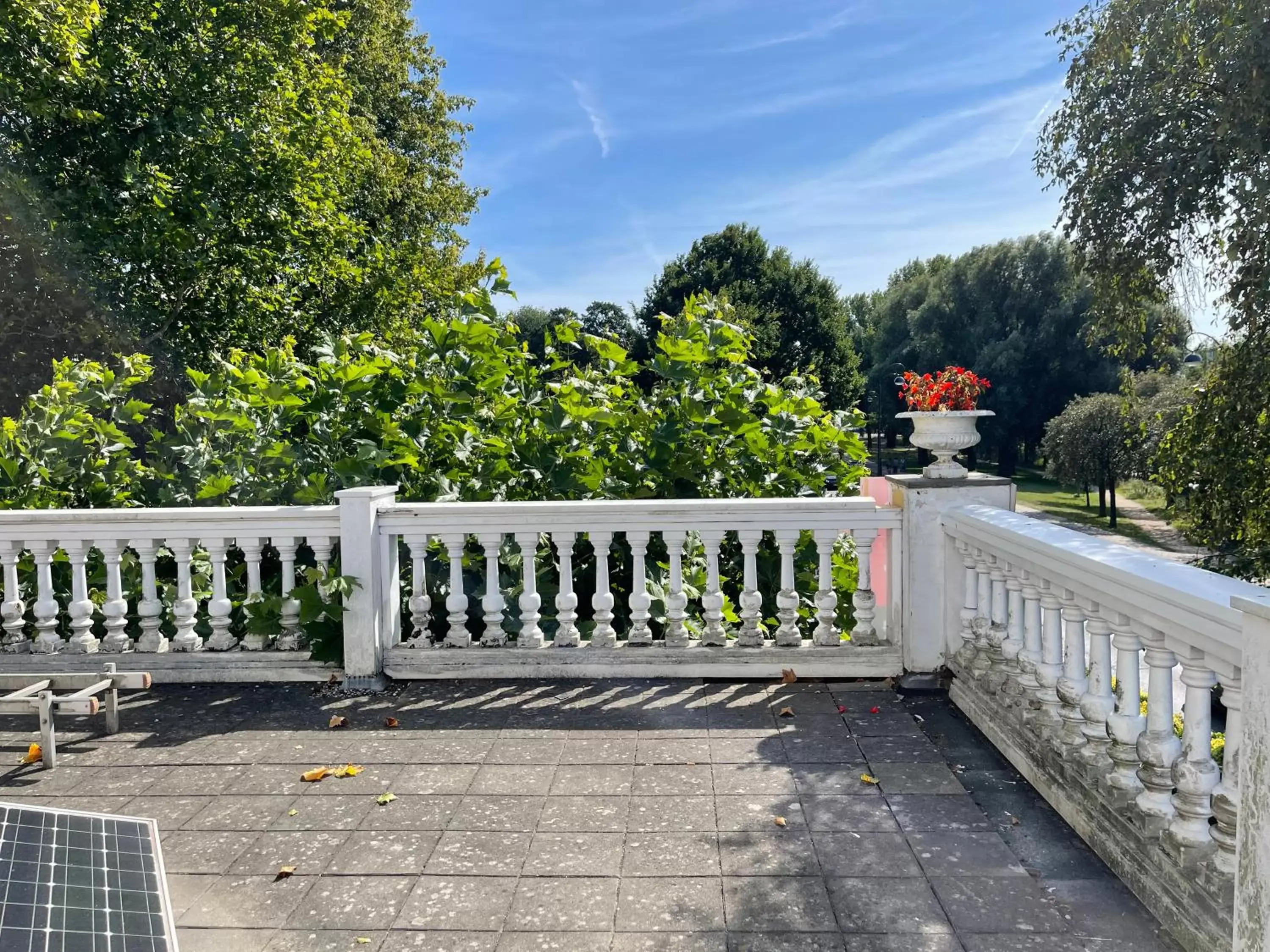 Balcony/Terrace in Oase van Haarlem, 15 minuten van Amsterdam