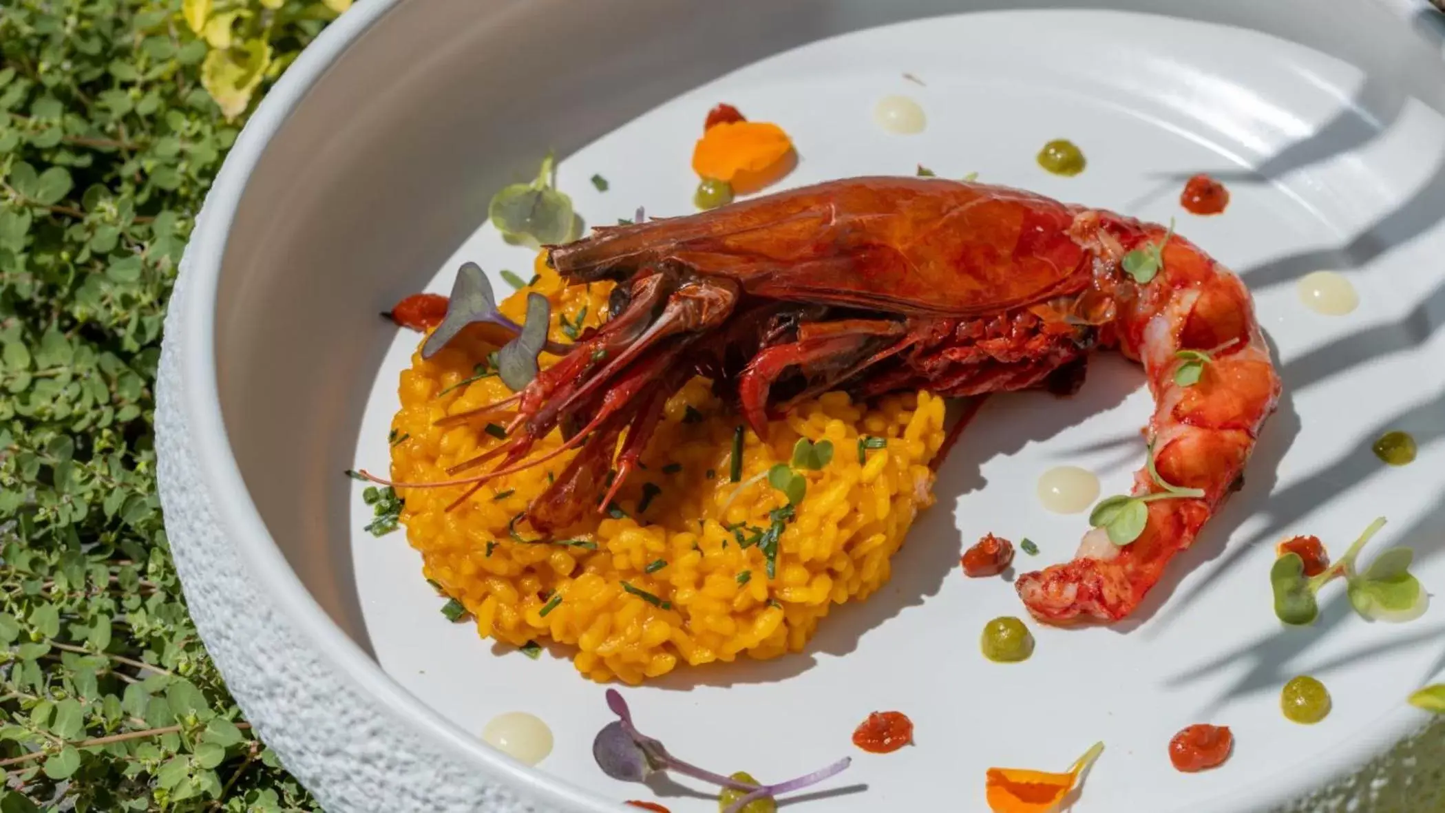 Restaurant/places to eat, Food in Mirador de Dalt Vila-Relais & Chateaux