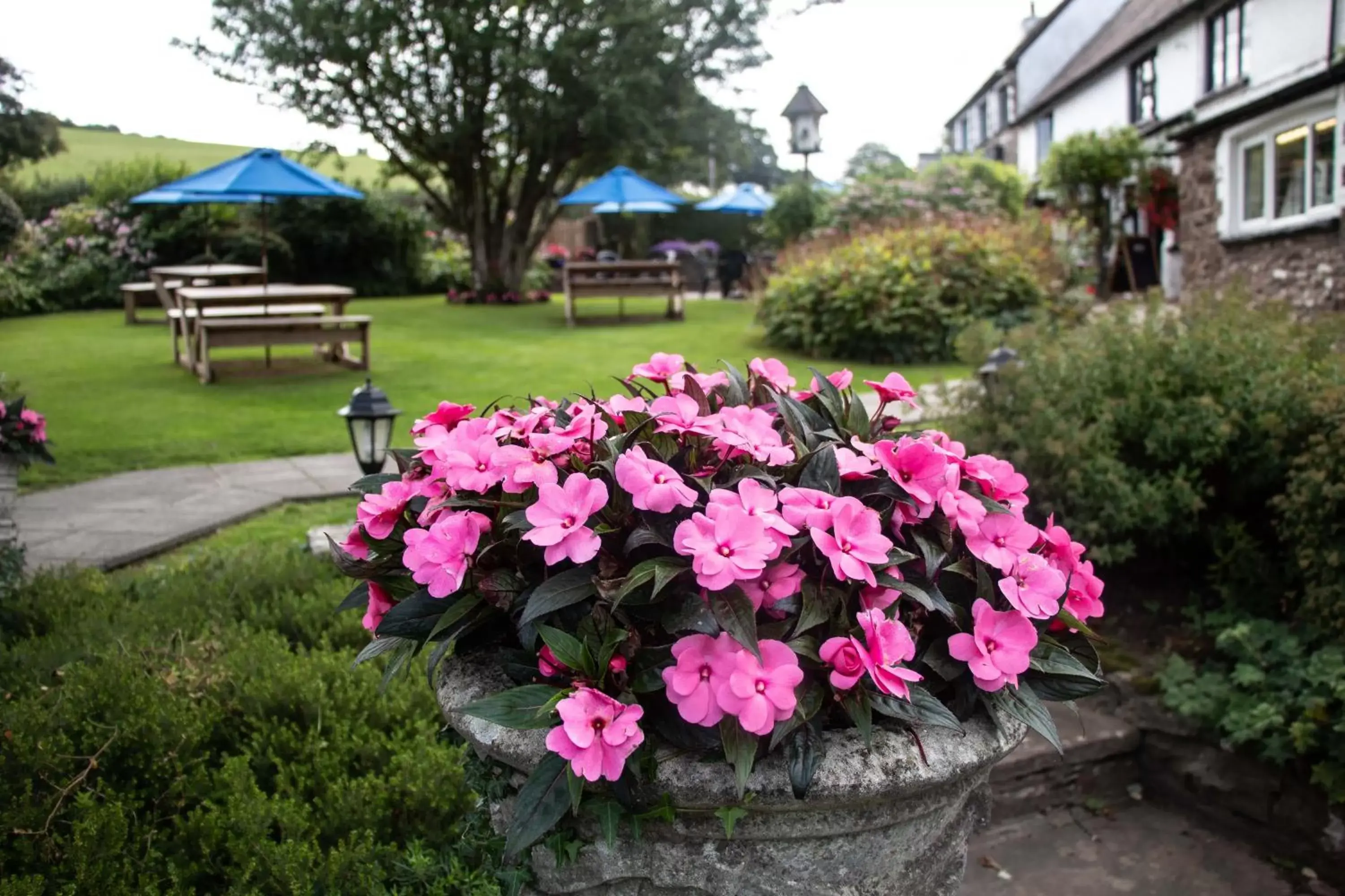 Spring, Garden in The Greyhound Inn and Hotel