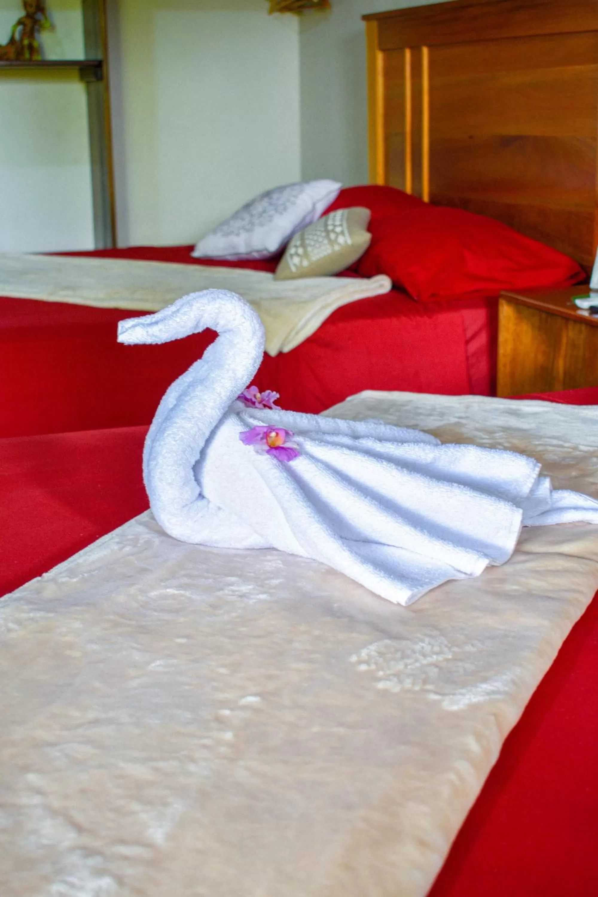 Property building, Bed in Arenal Descanso