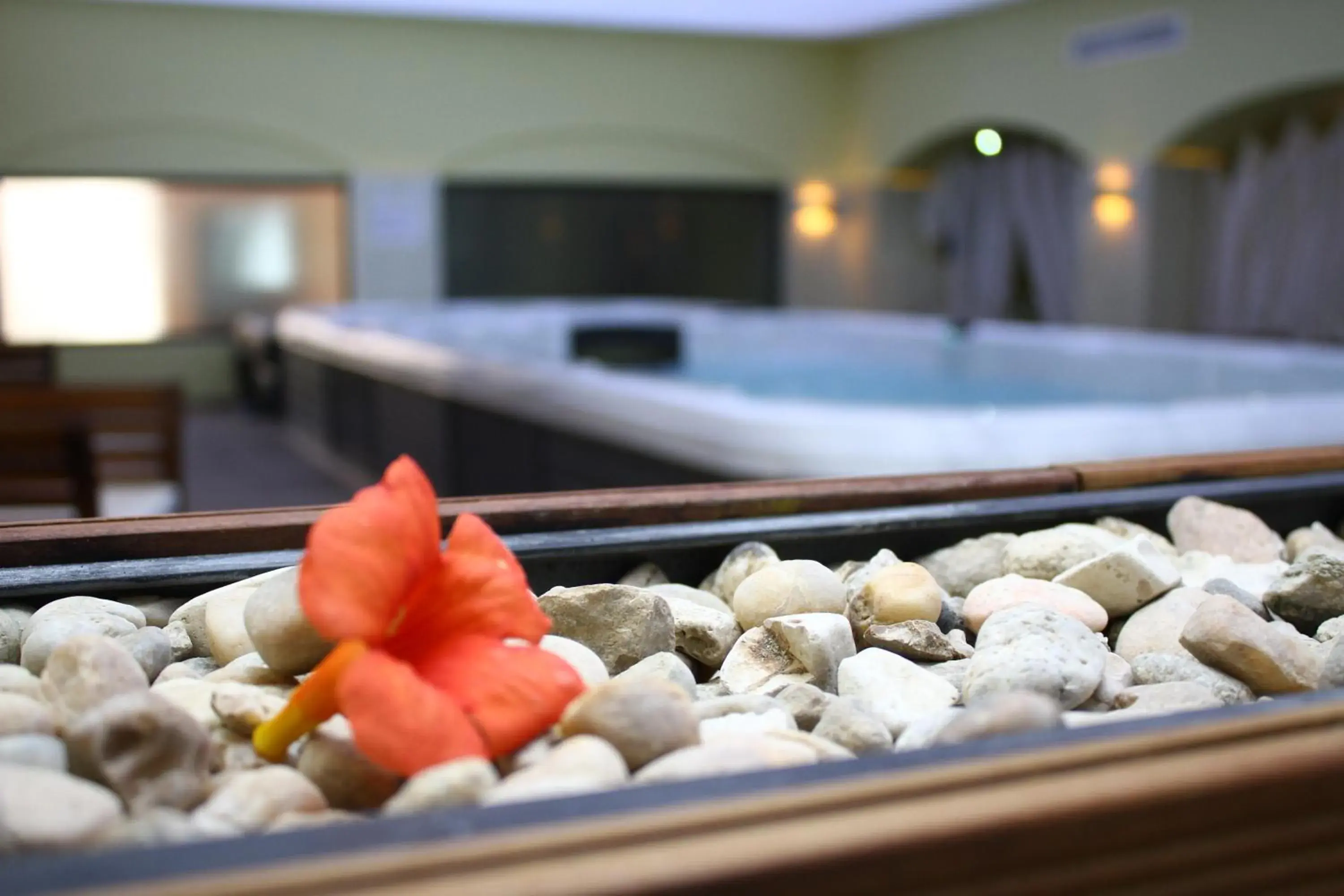 Spa and wellness centre/facilities, Food in White Rock Castle Suite Hotel & SPA