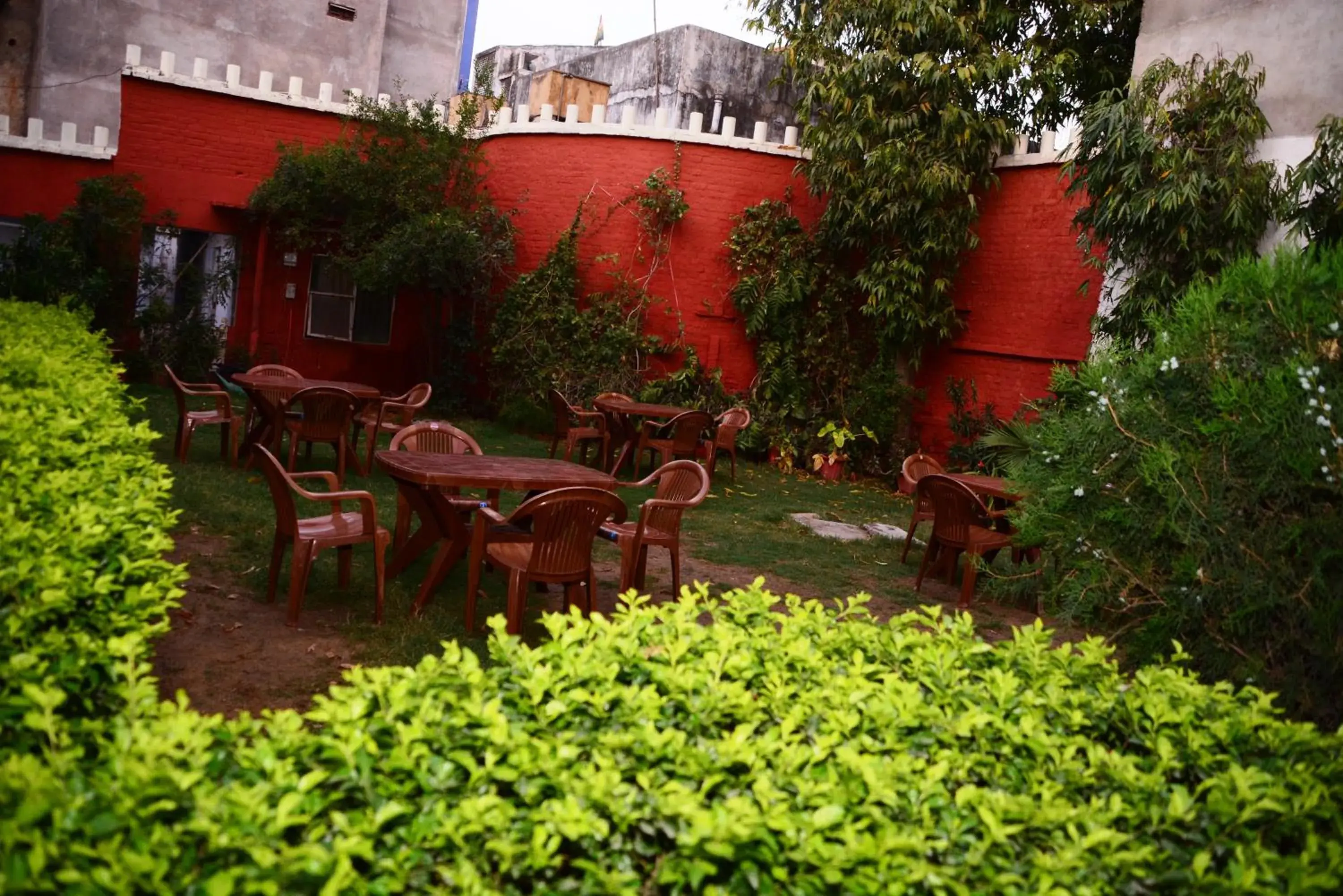 Garden in Hotel Sugandh Retreat