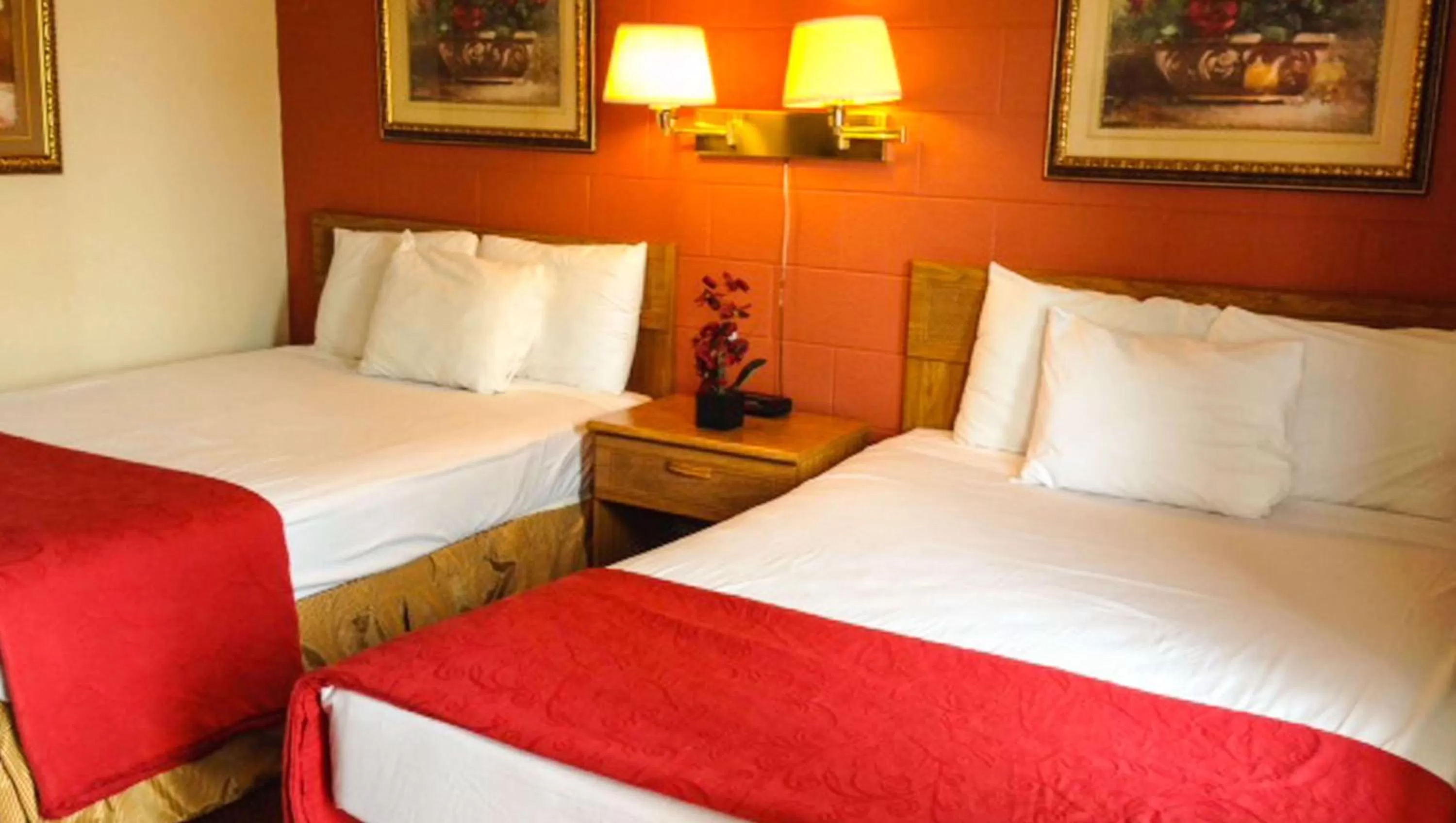 Photo of the whole room, Bed in Rodeway Inn