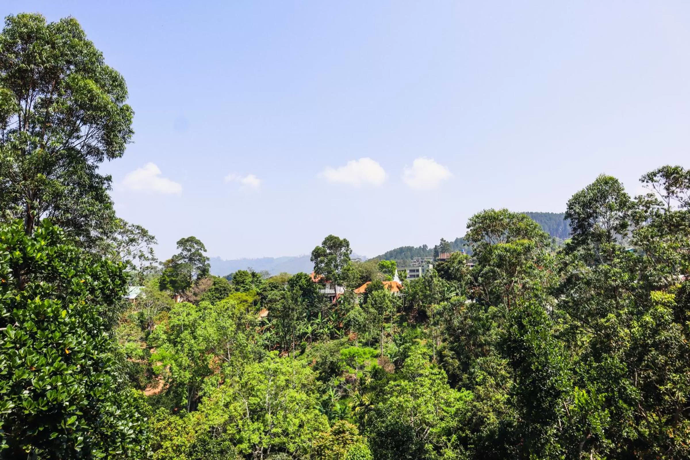 Natural landscape in Duet Hearts