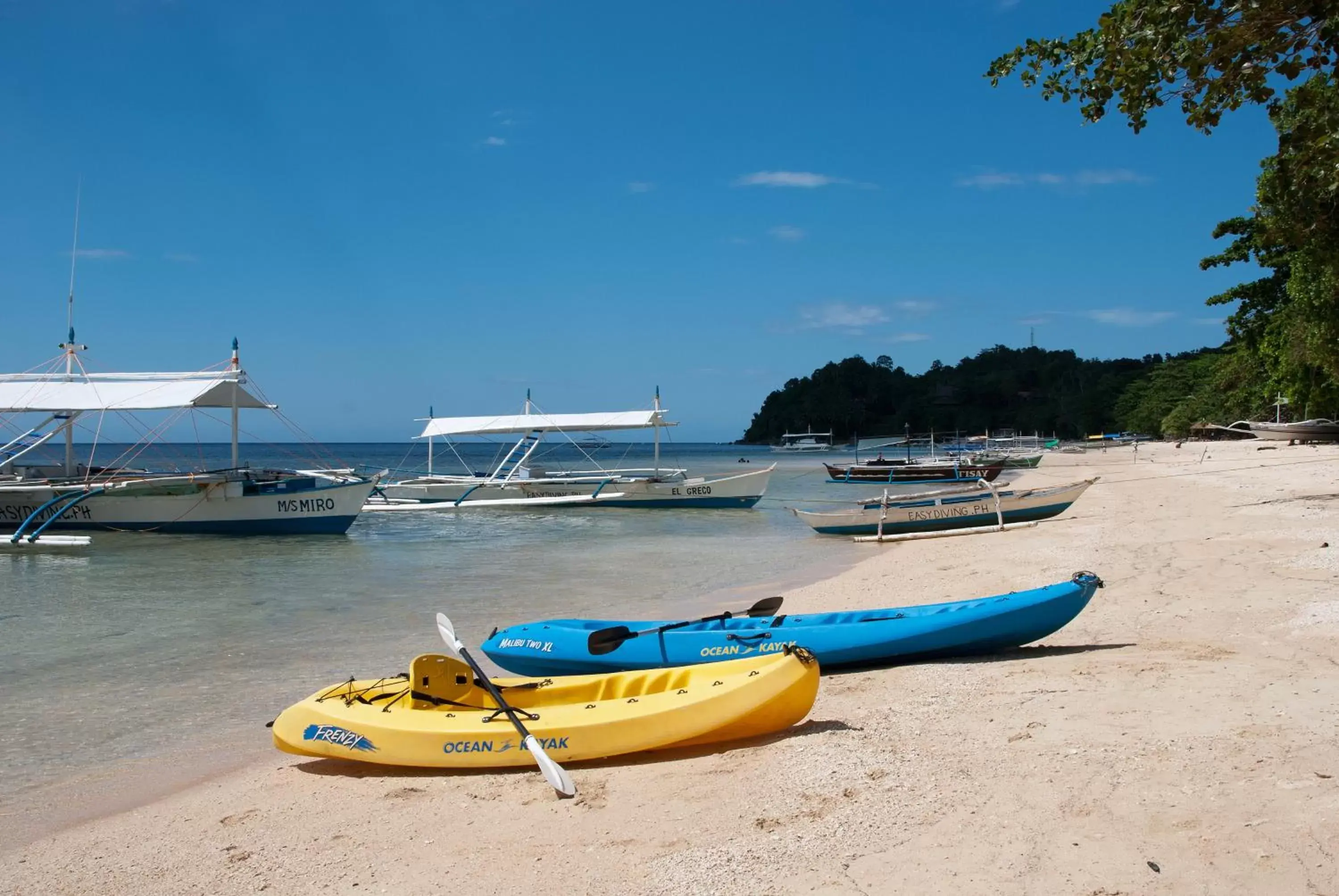 Natural landscape, Beach in Easy Diving and Beach Resort