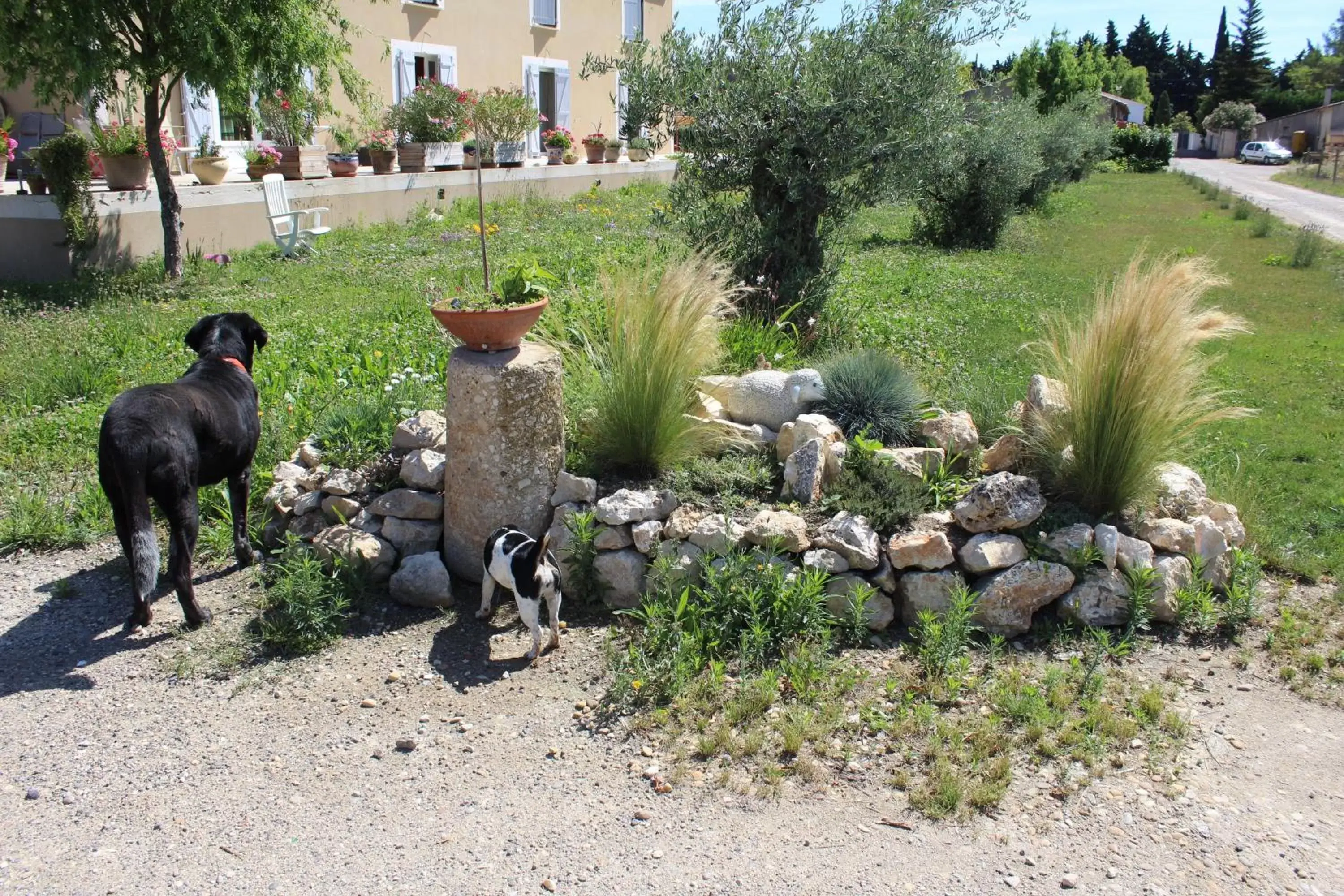 Garden view, Other Animals in La Sarriette, Chambres d'hôtes et gîte d'étape à Eygalieres 13810