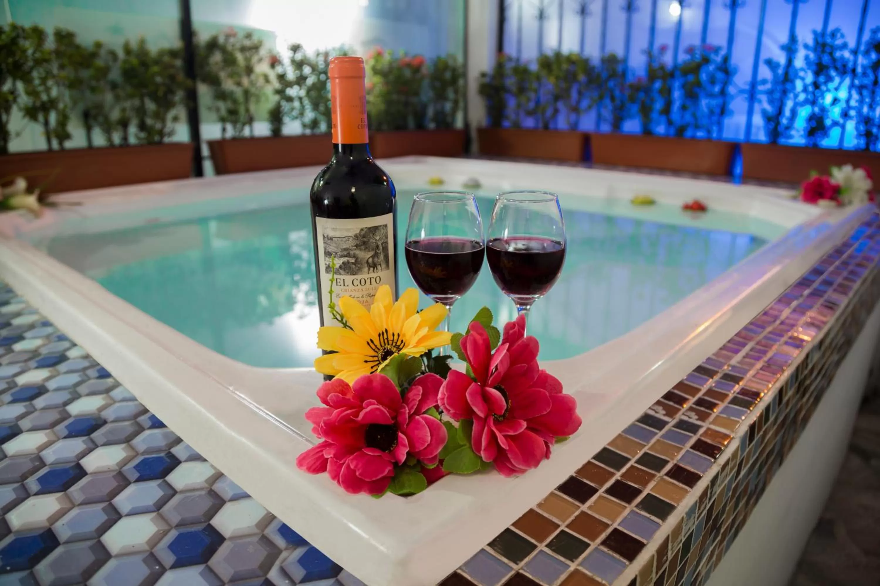 Area and facilities in Hotel Flamingo Cali