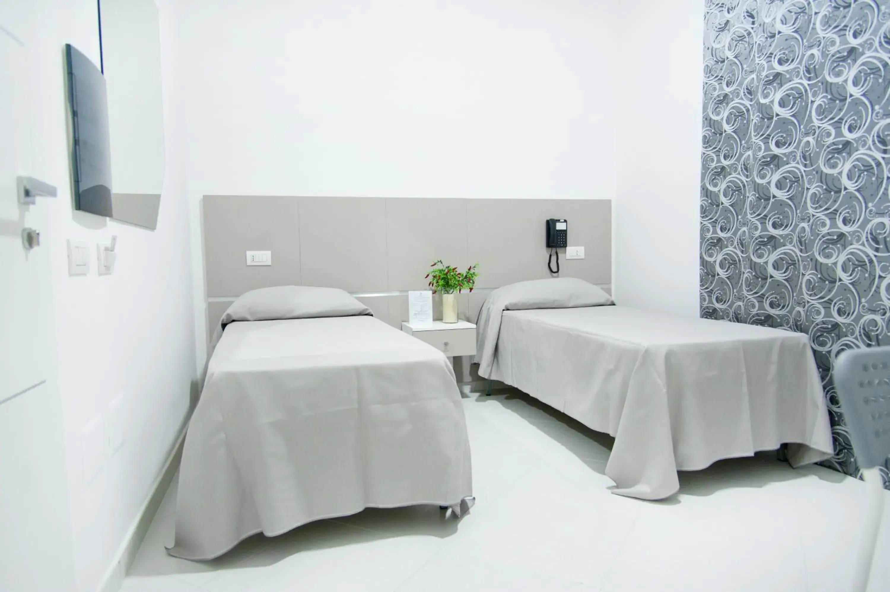 Twin Room - single occupancy in Hotel Regina Twin Room - single occupancy in Hotel Regina