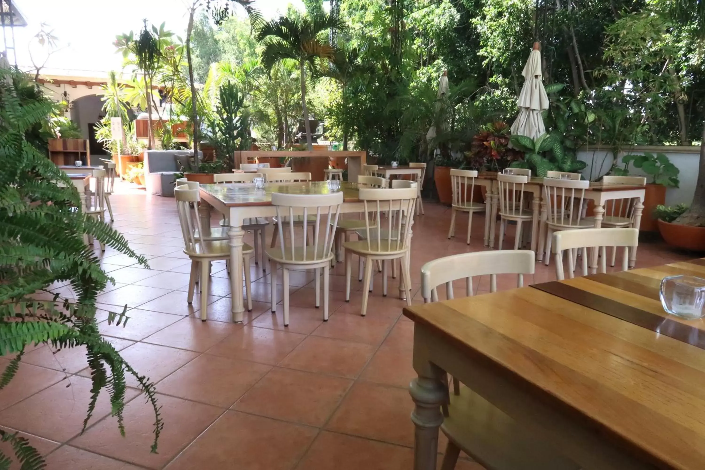 Restaurant/Places to Eat in Los Pilares Hotel