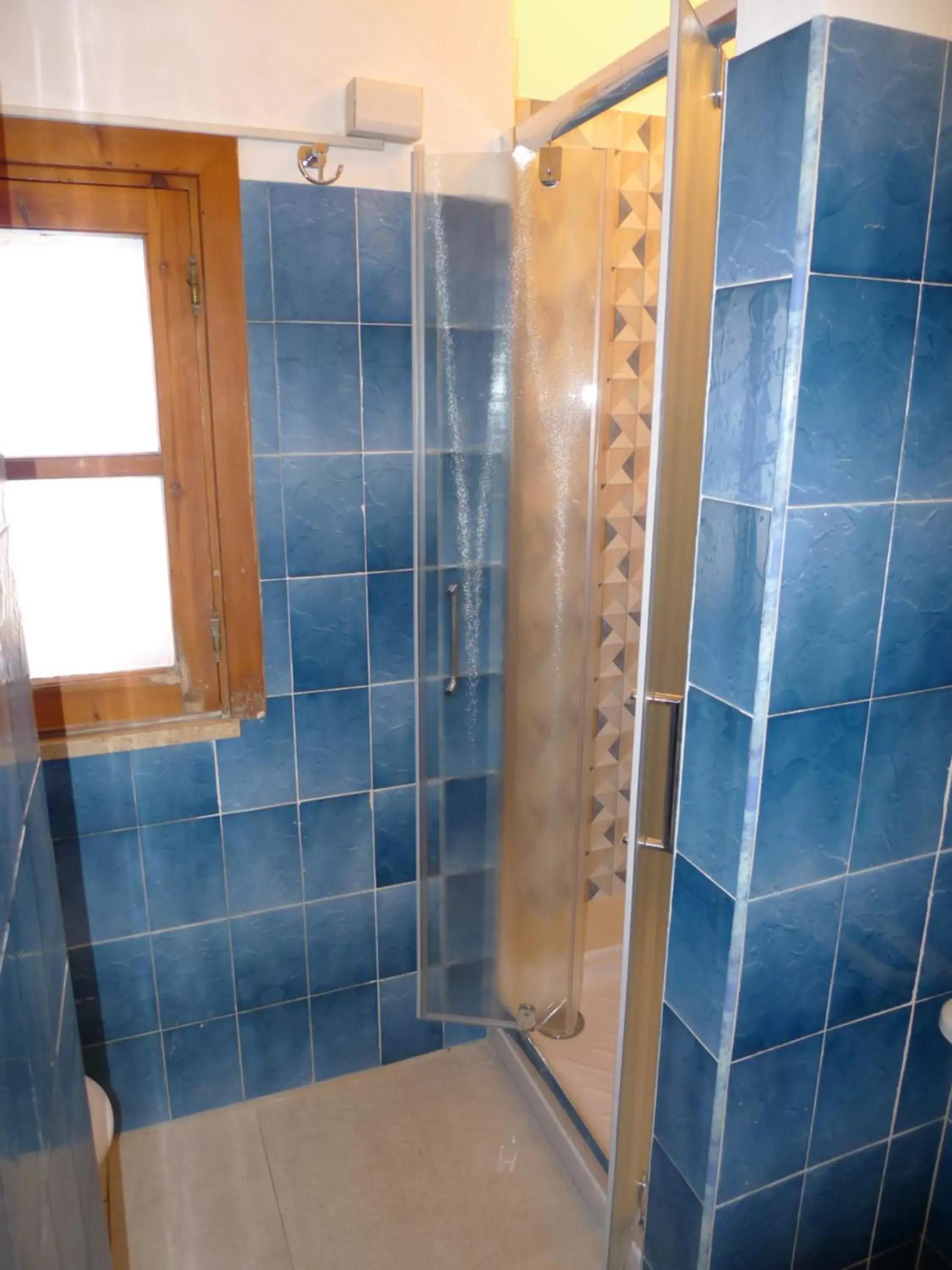 Shower, Bathroom in Hotel Alexander