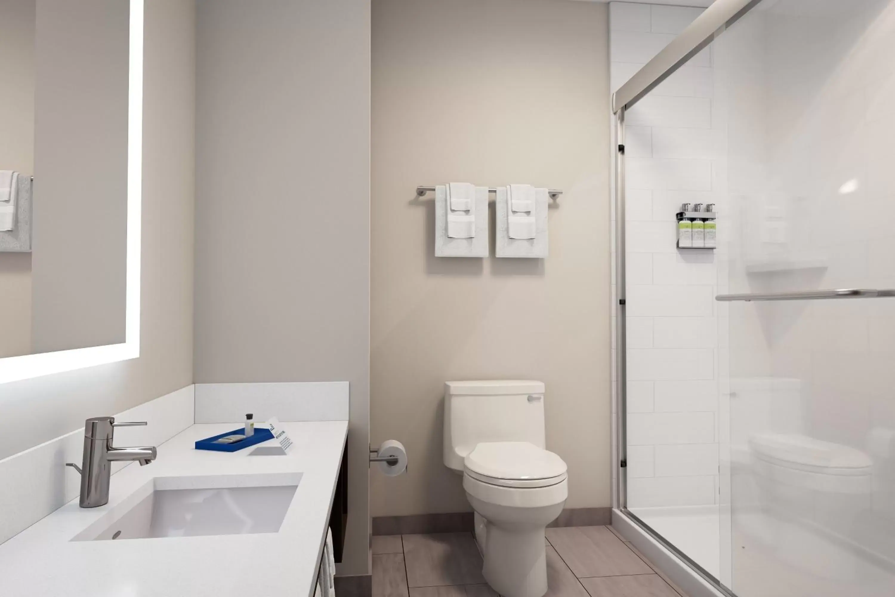 Bathroom in Holiday Inn Express - Strathroy, an IHG Hotel