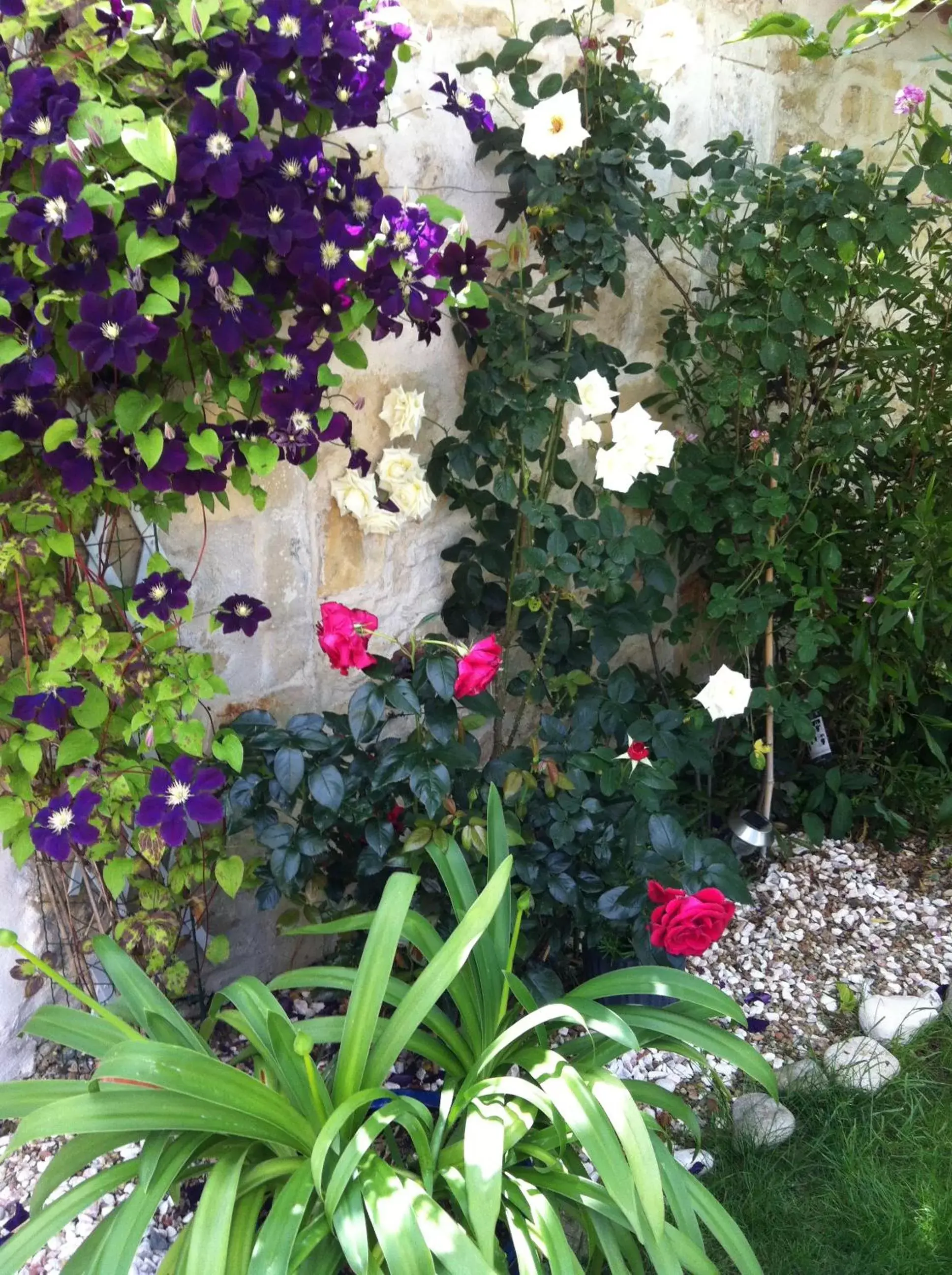 Garden in La Jarrie Leduc