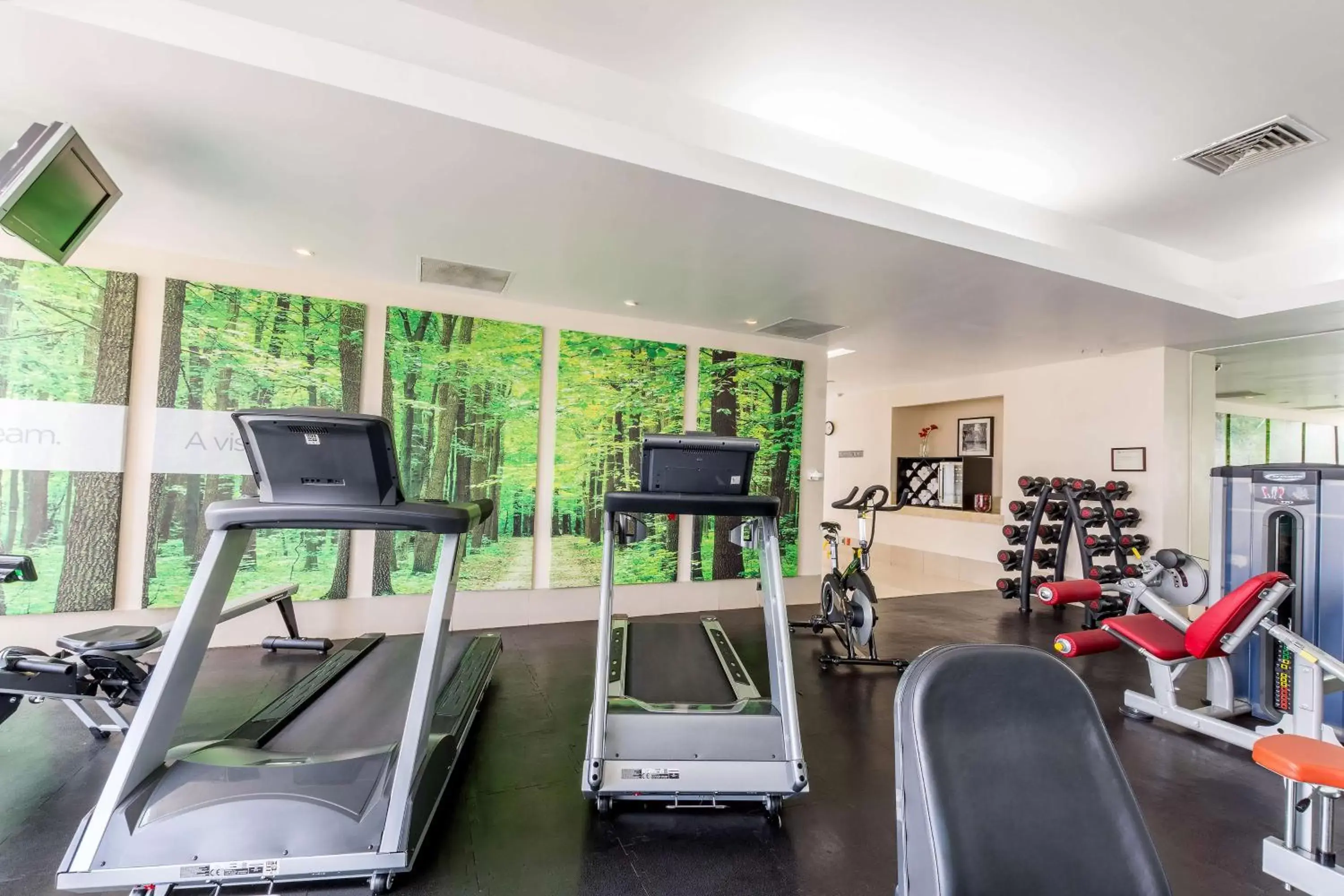 Activities, Fitness Center/Facilities in NH Collection Mexico City Santa Fe