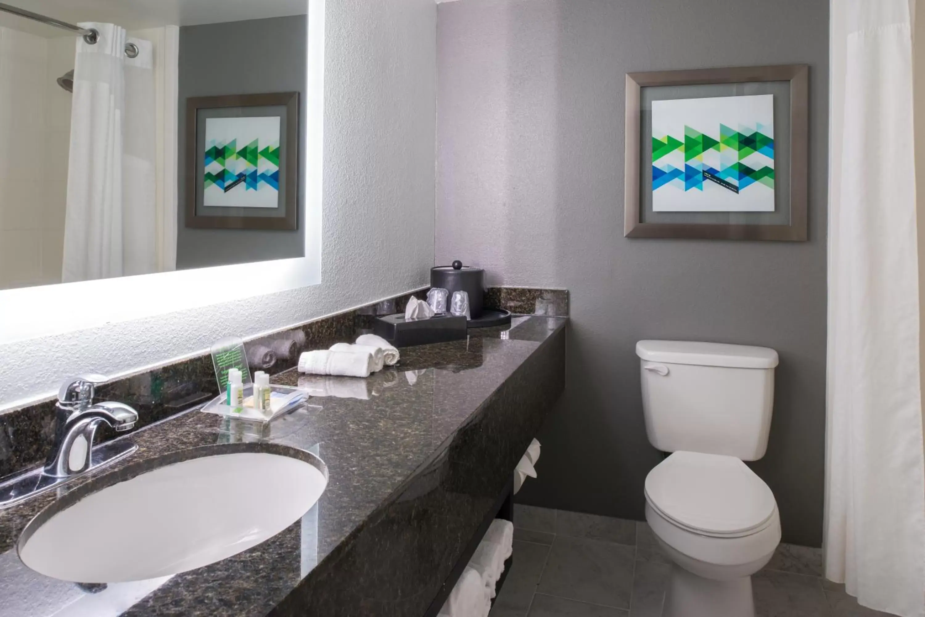 Shower, Bathroom in Holiday Inn Hotel and Suites Beaumont-Plaza I-10 & Walden, an IHG Hotel