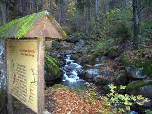 Natural landscape in Kurpark Flair Hotel Im Ilsetal