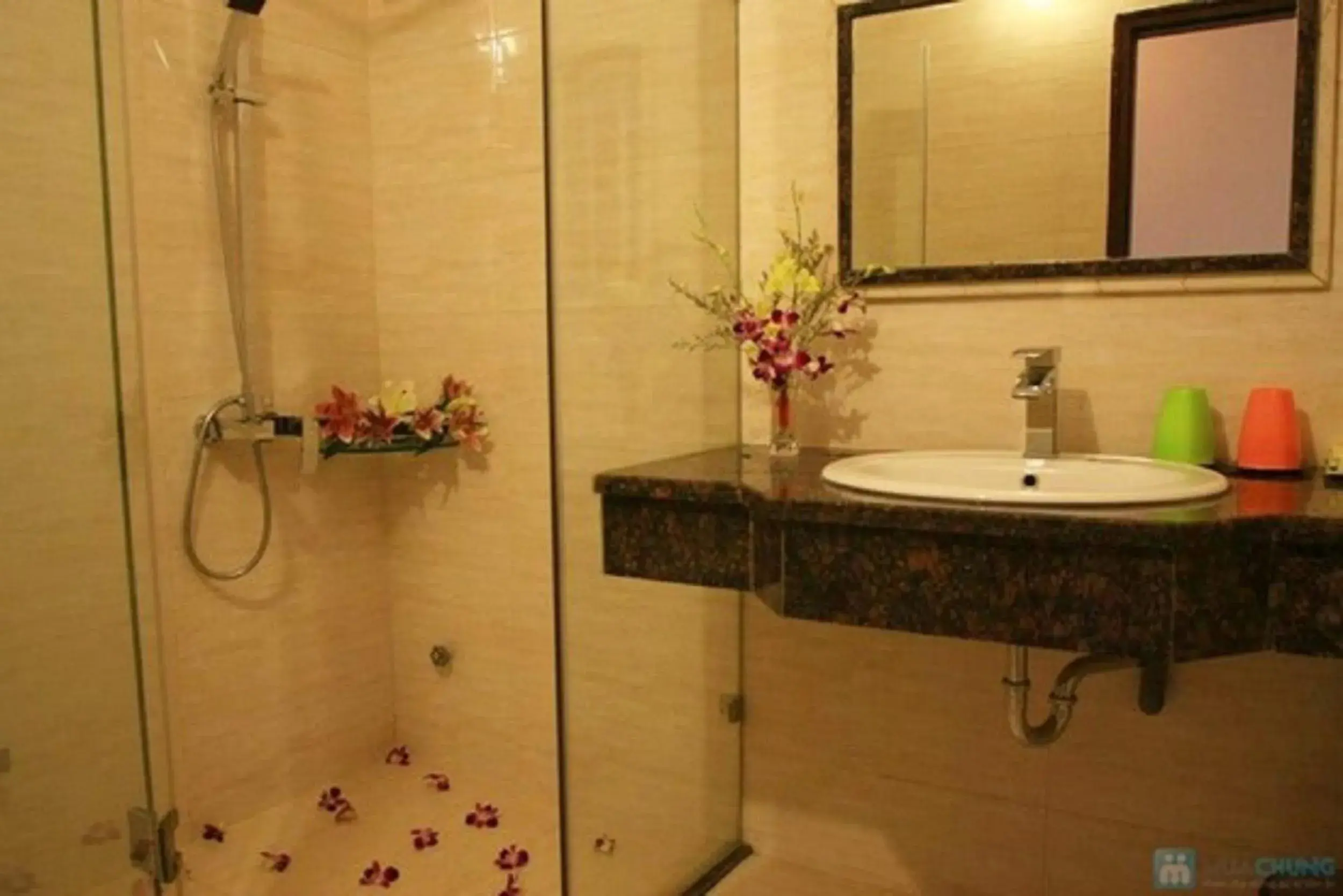 Shower, Bathroom in Hanoi Luxury Hotel