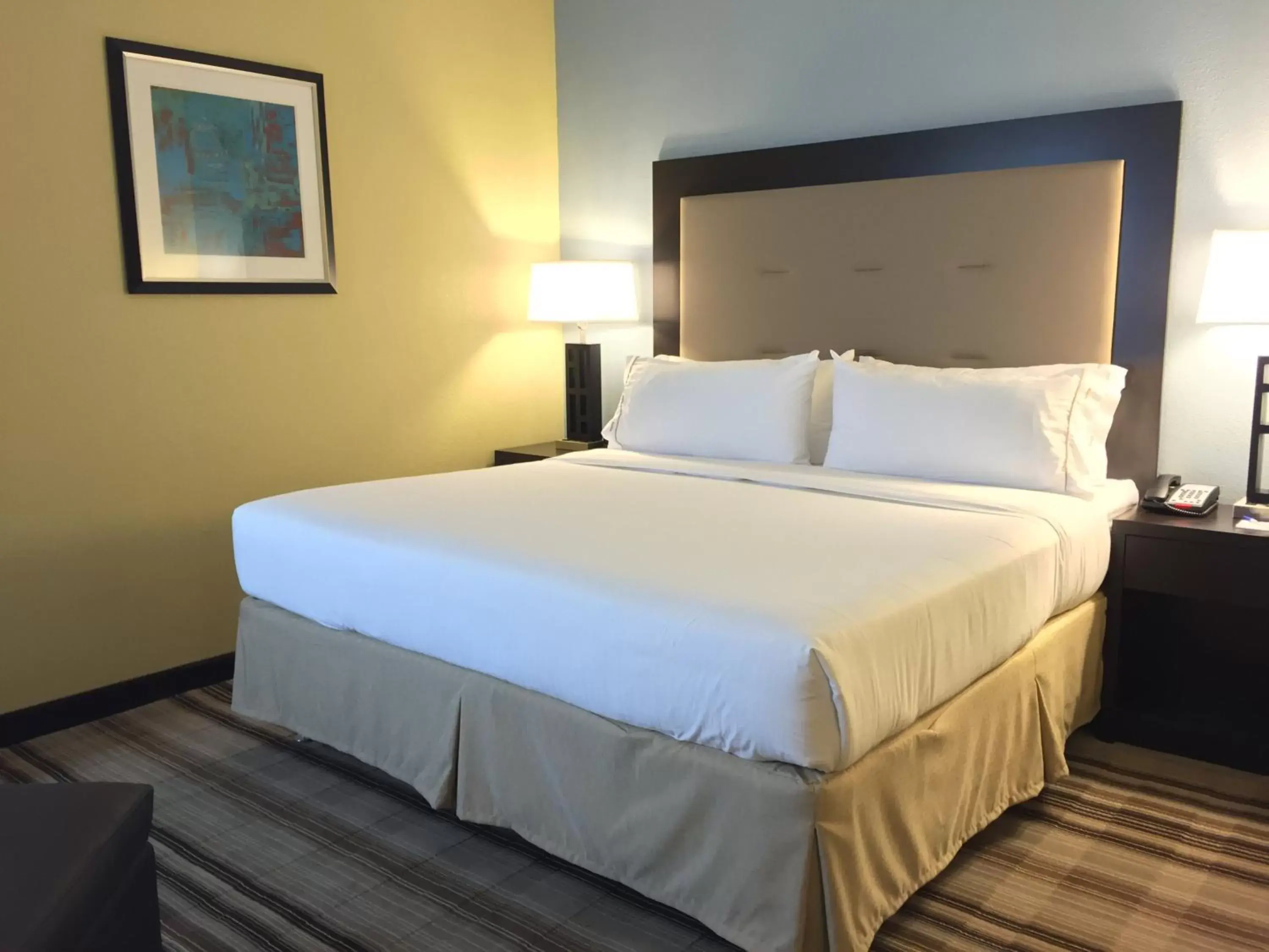 Photo of the whole room, Bed in Holiday Inn Express Chicago NW - Arlington Heights, an IHG Hotel