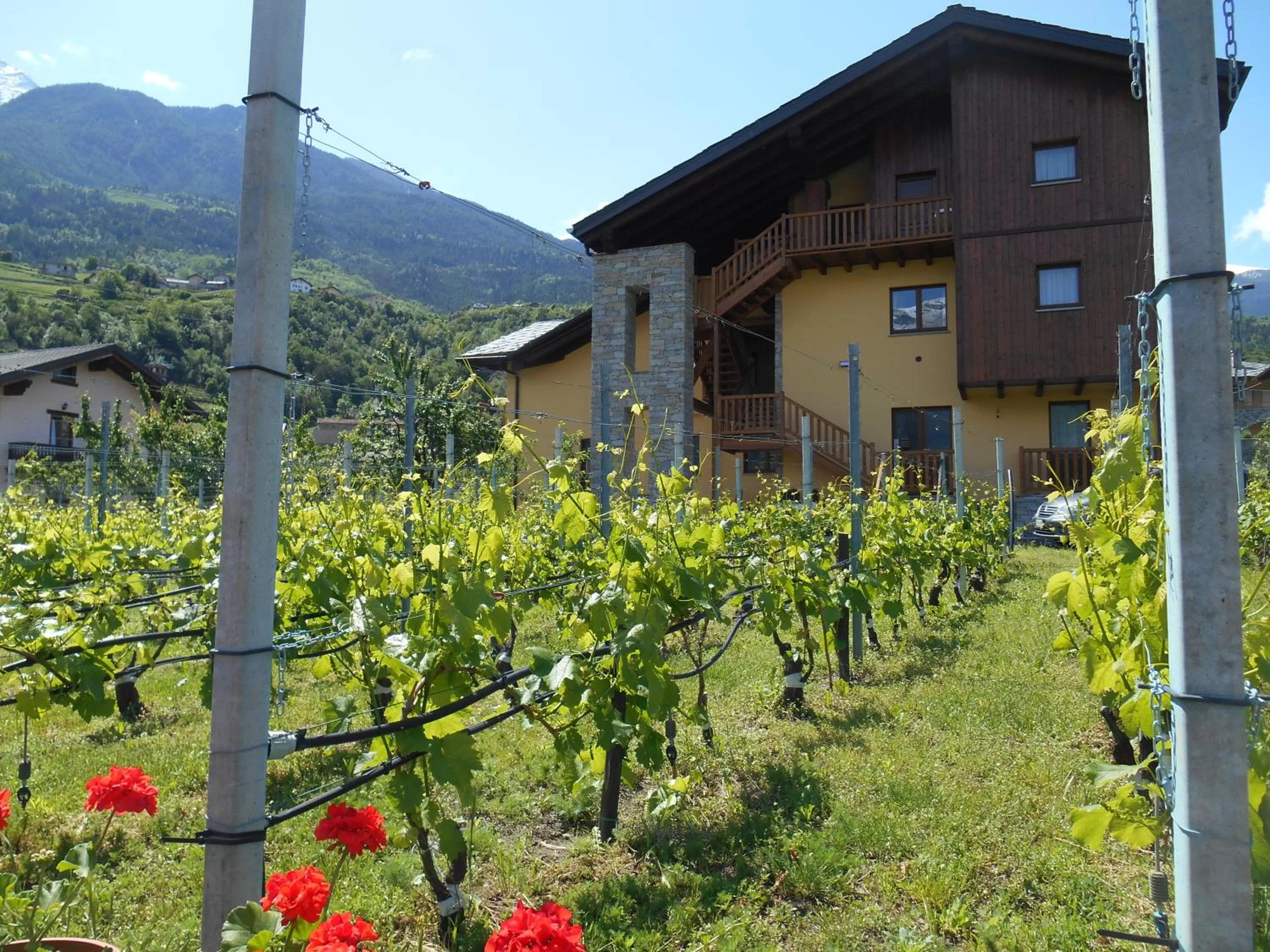 Property building in La Vigne de Papagran