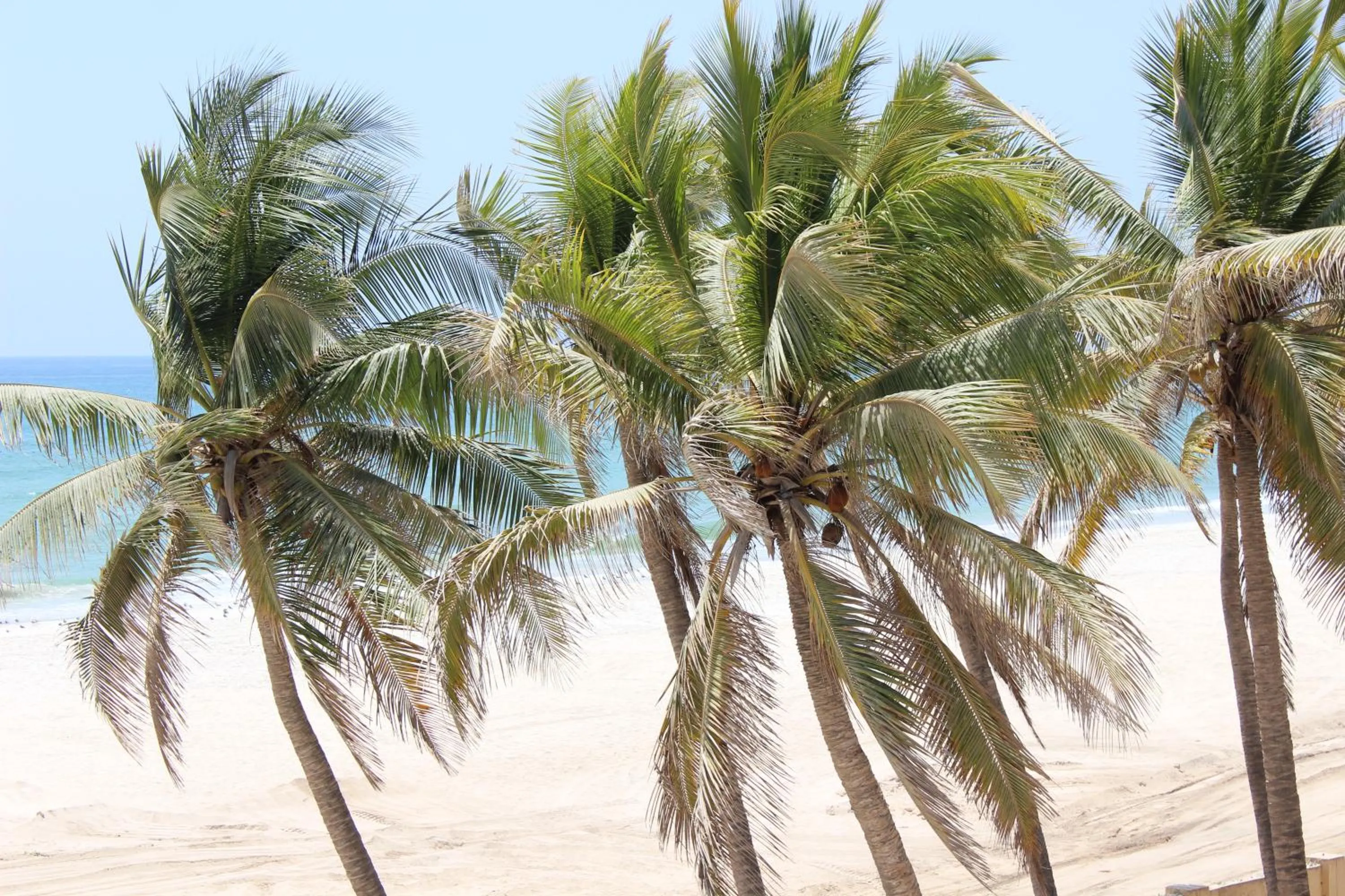 Sea view in Beach Resort Salalah