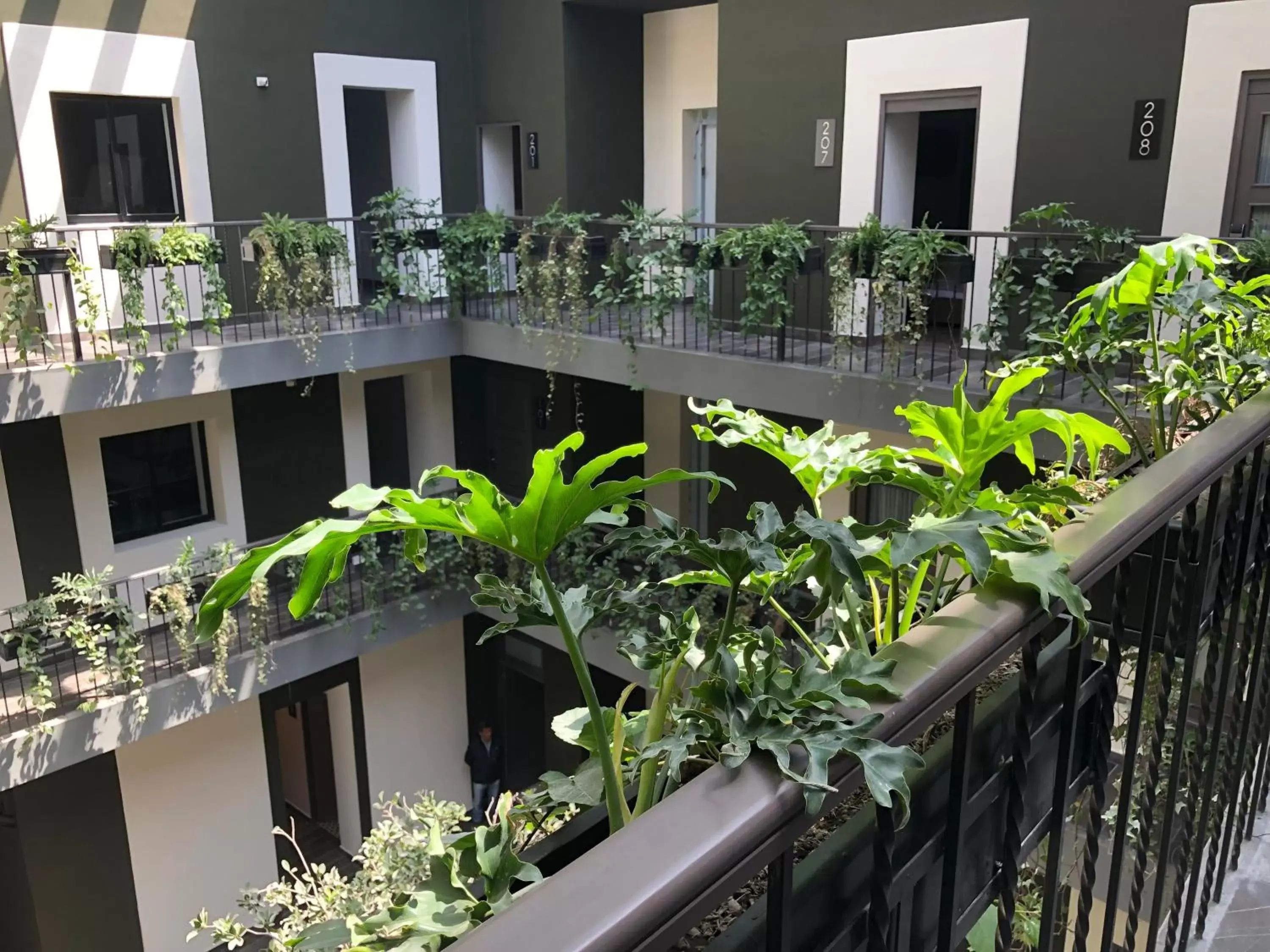 Balcony/Terrace in Hotel Isabel