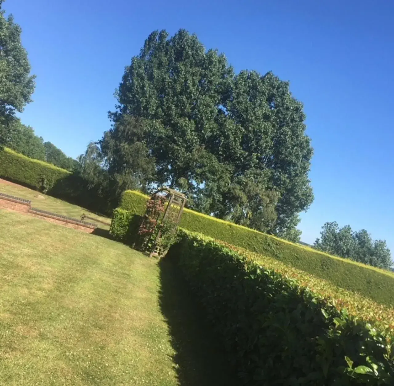 Garden in Melbourne View Hotel