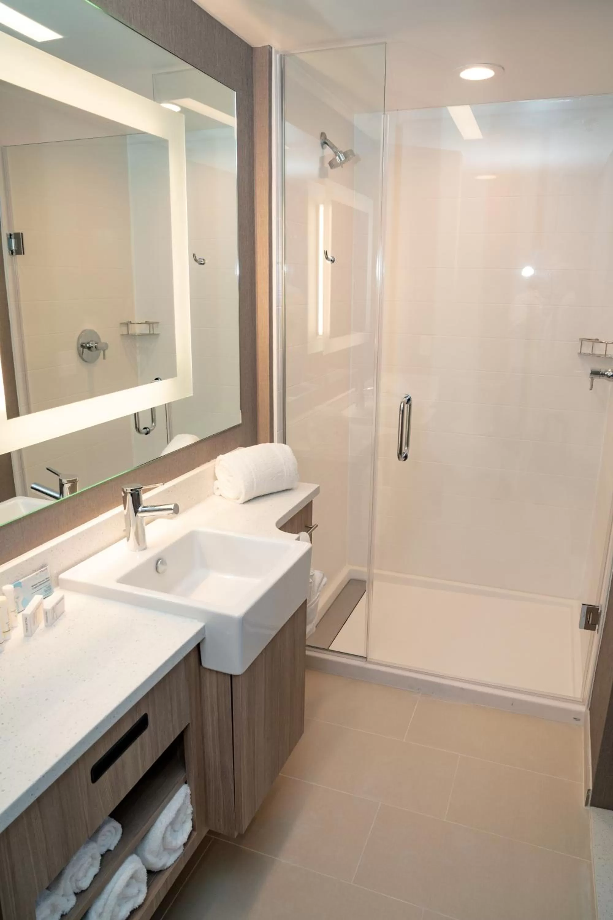 Bathroom in SpringHill Suites by Marriott Woodbridge